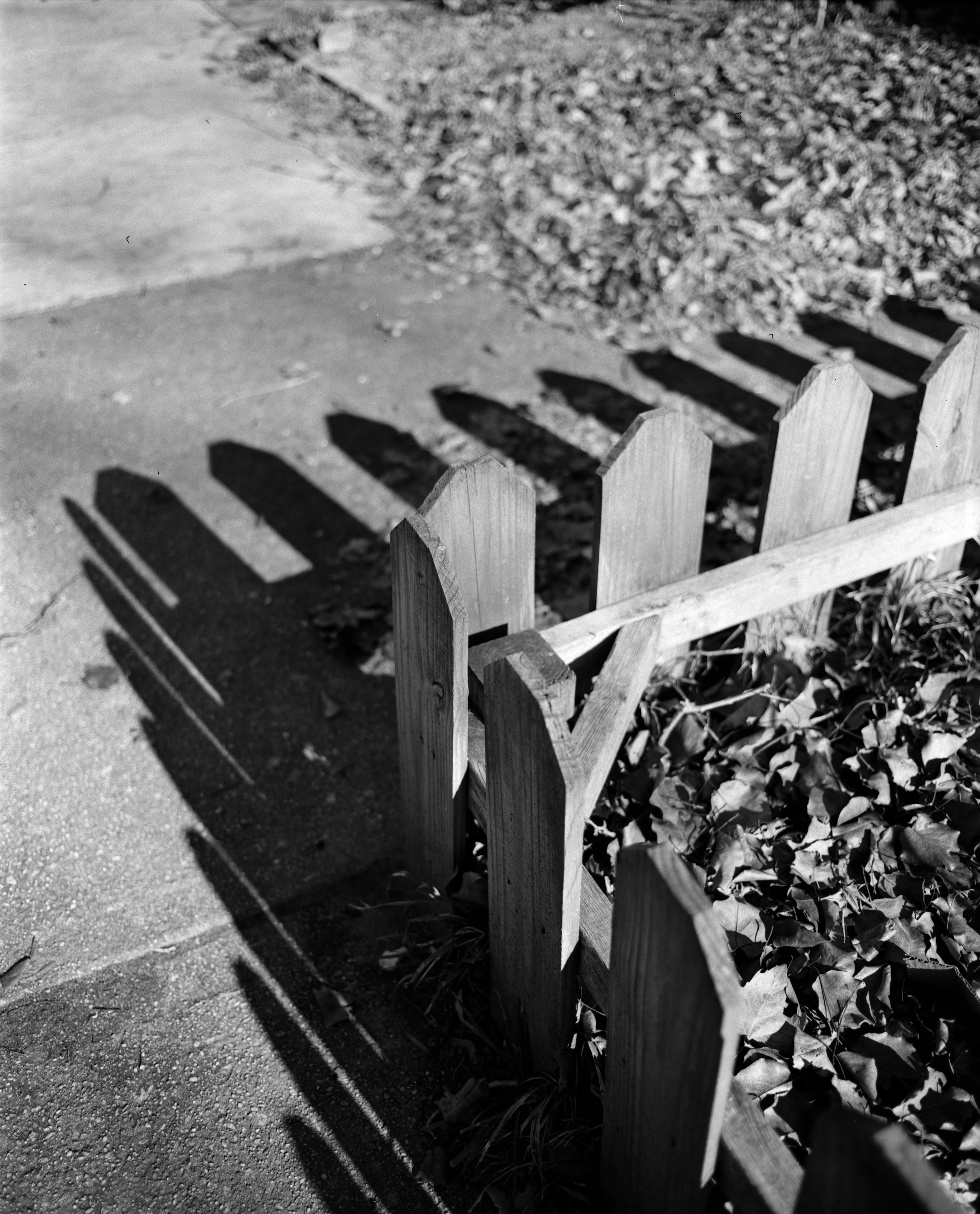 Delta 100 Pyro-2 copy SMALL.jpg
