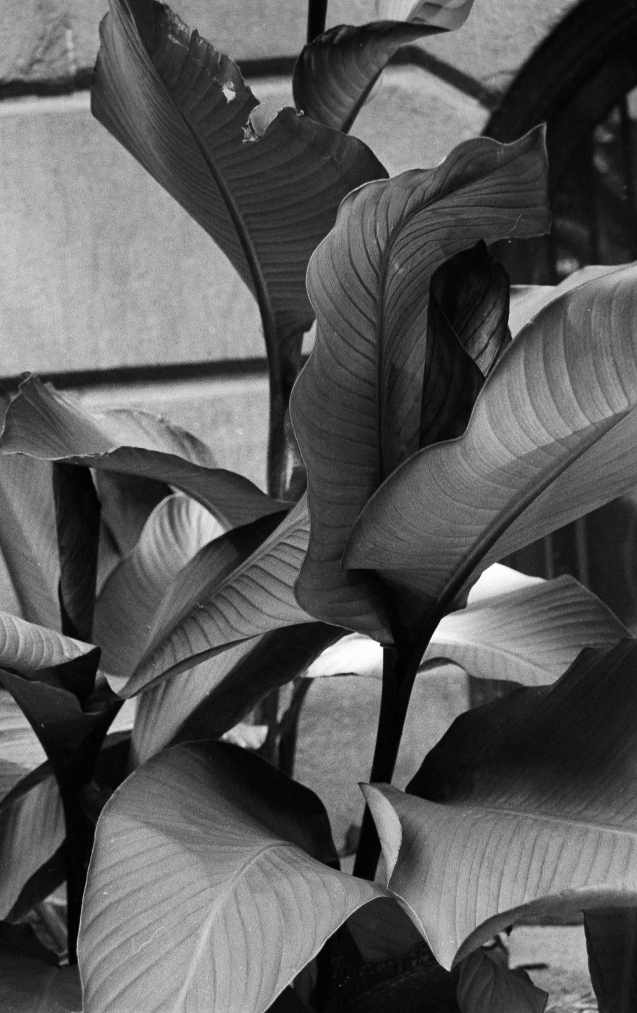 DEV 10112022_6-1 copy.JPG