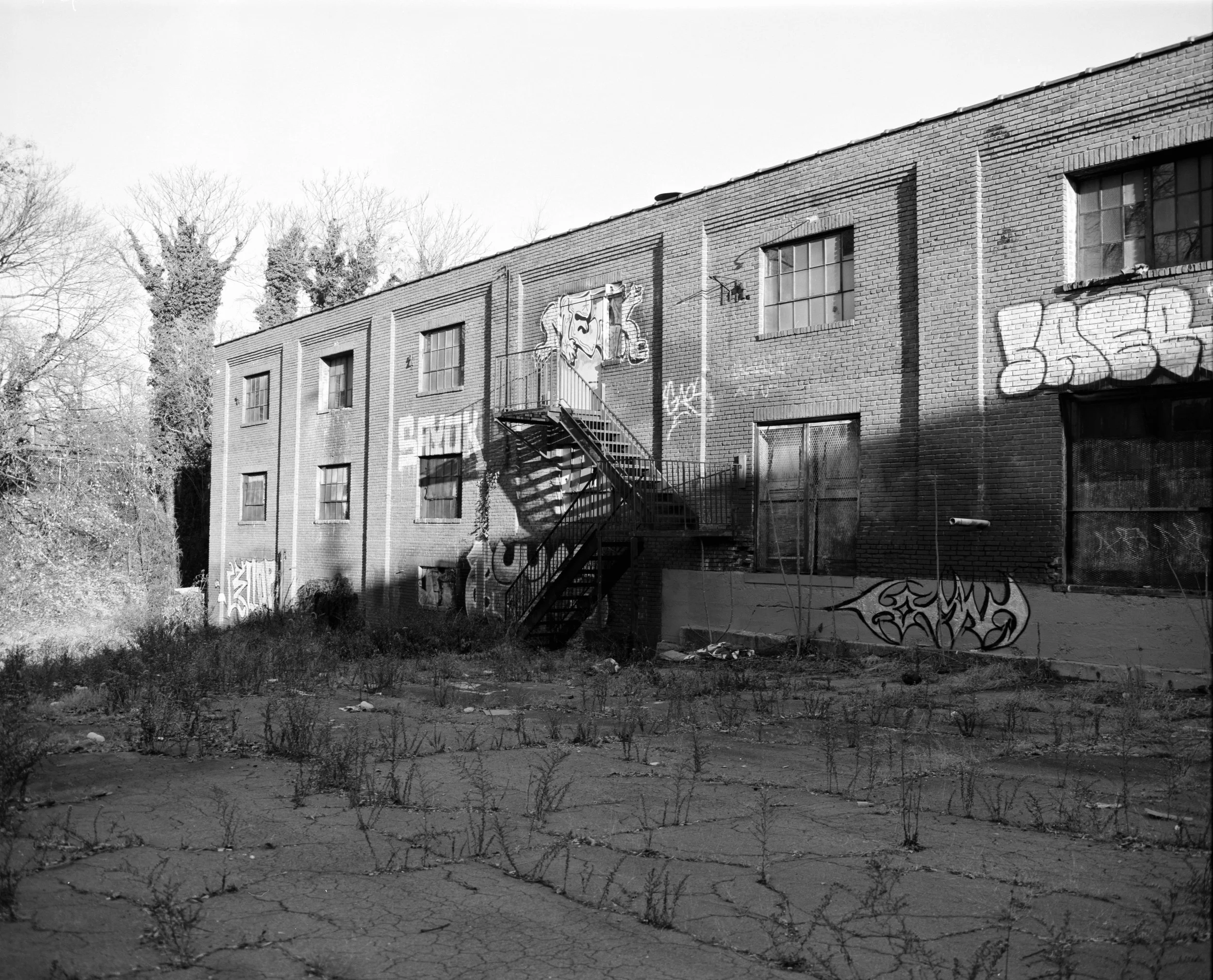 Tmax 100 Pyro-7 copy SMALL.jpg