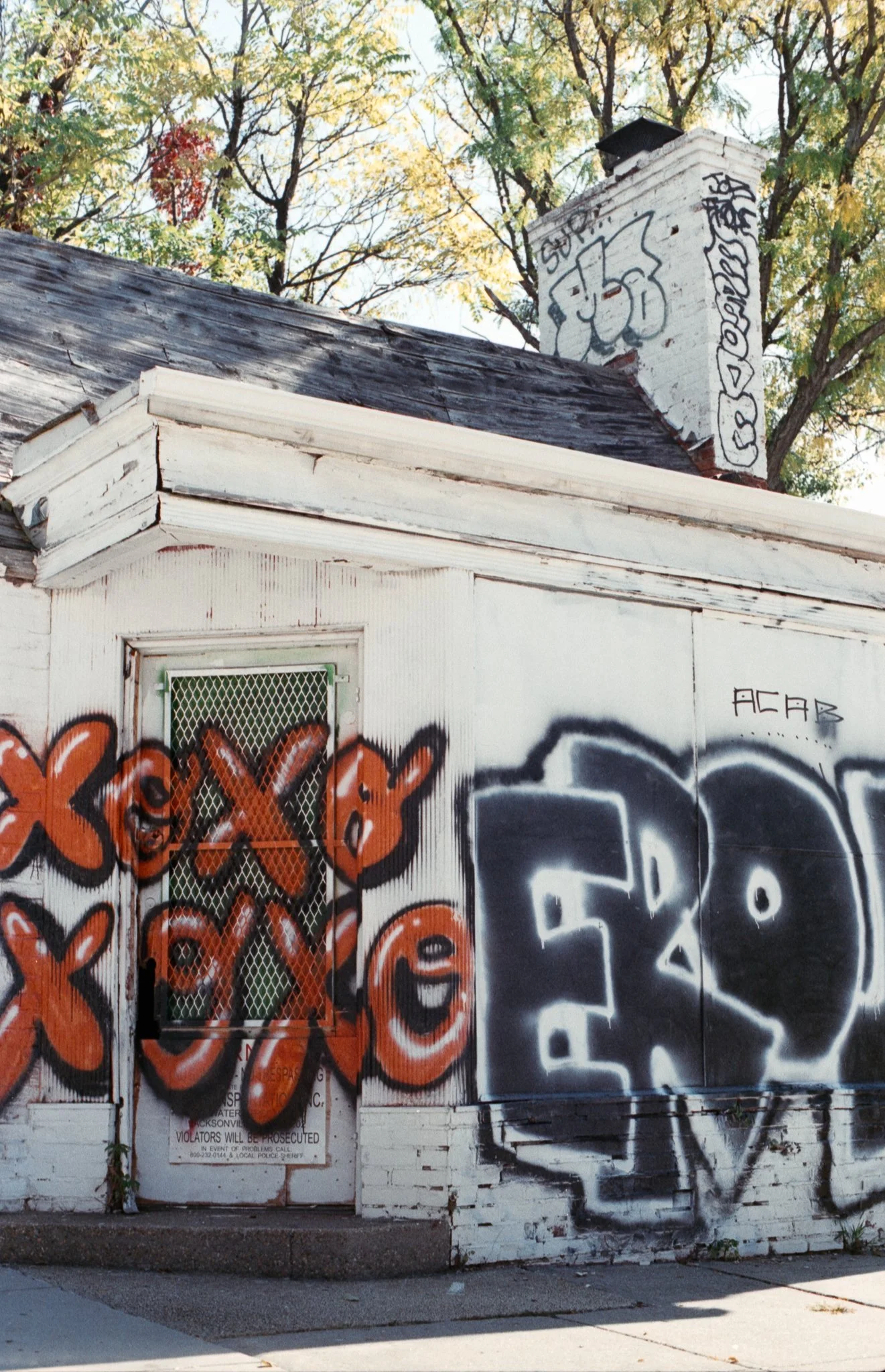 Super Multi-Coated Takumar Lens-9 copy.JPG