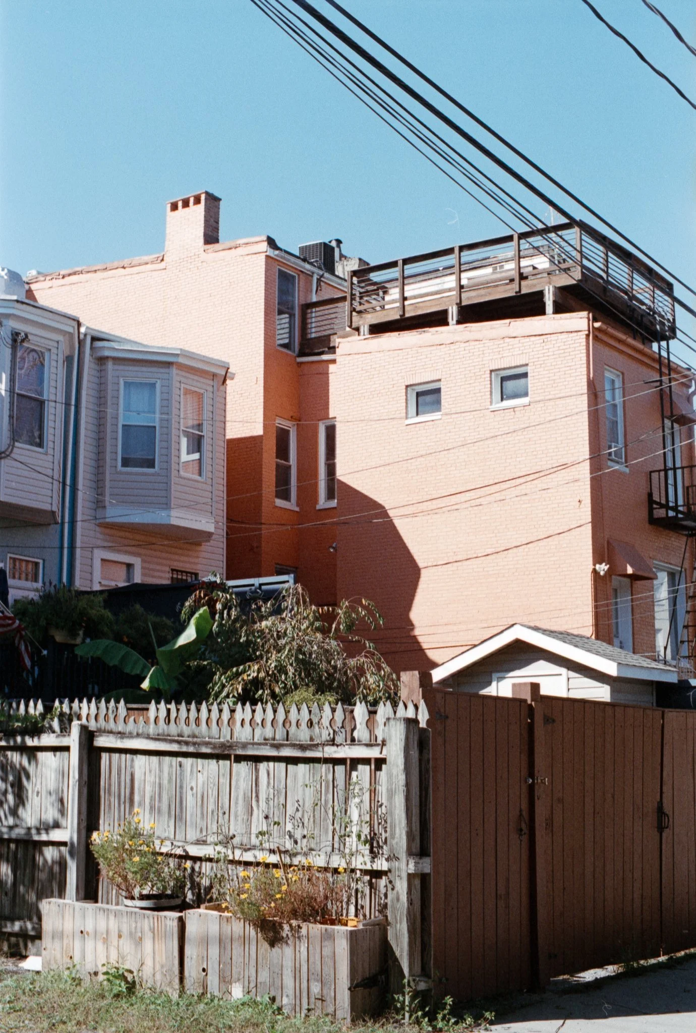 Super Multi-Coated Takumar Lens-18 copy.JPG