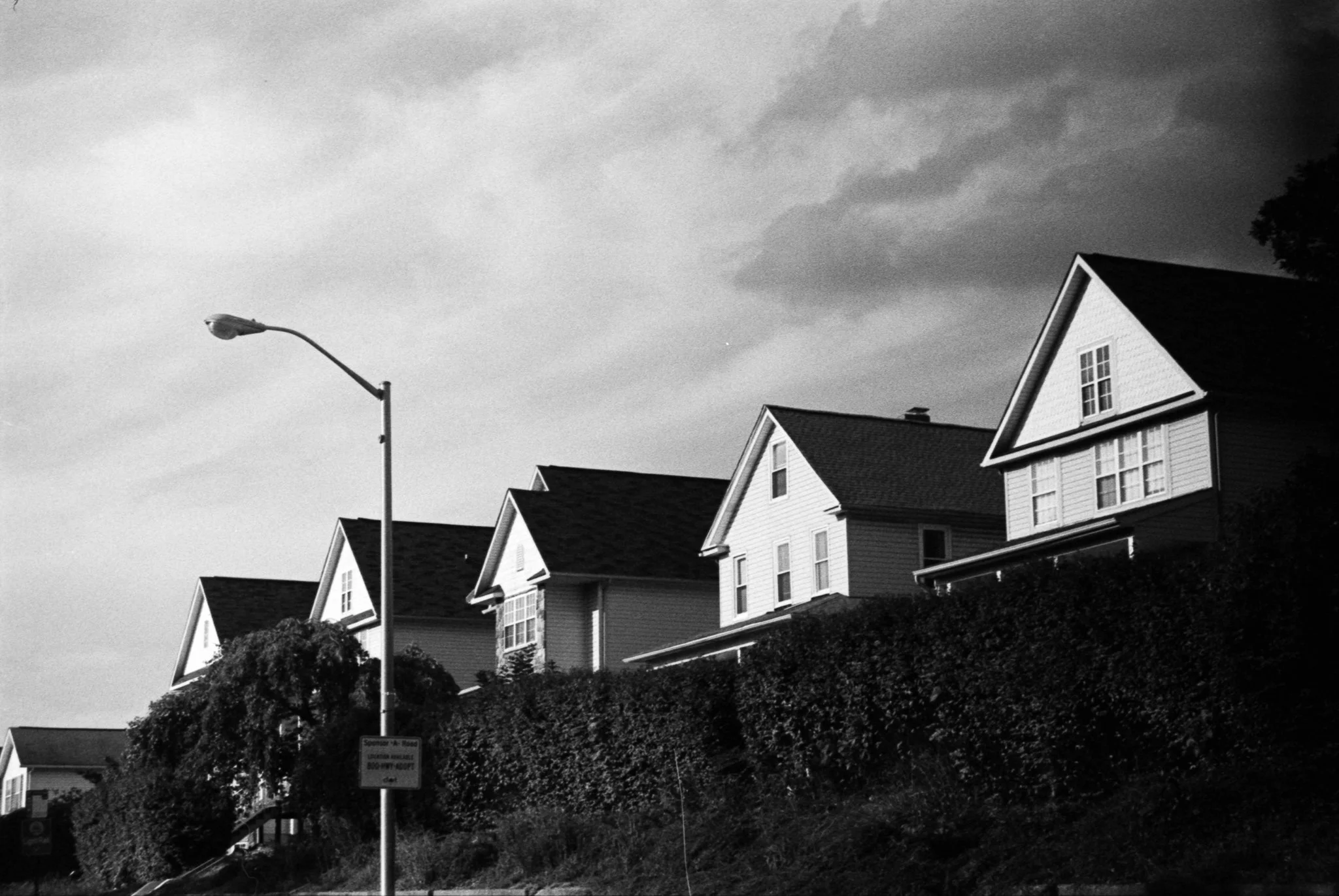 DEV 10112022_20-18 copy.JPG