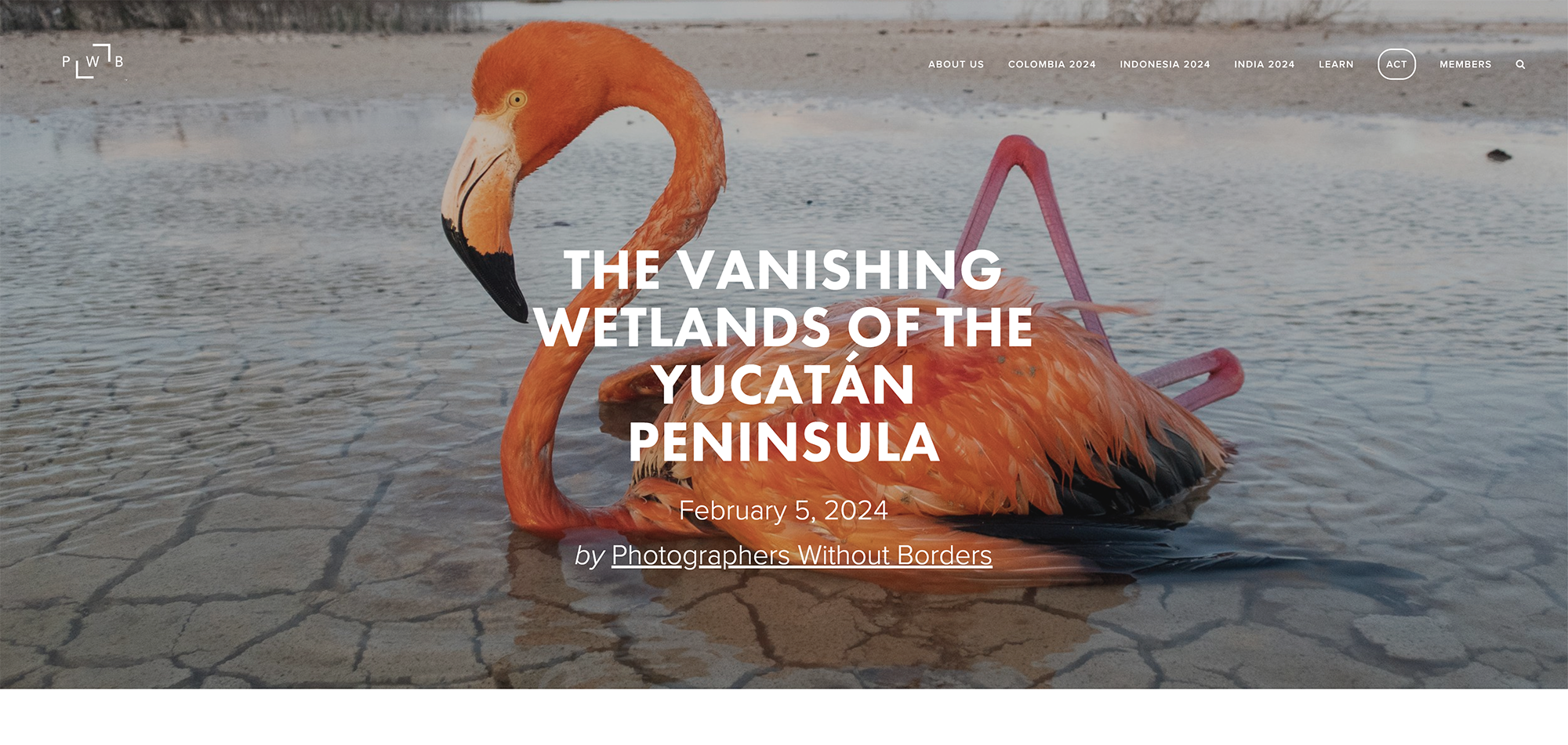 THE VANISHING WETLANDS OF THE YUCATÁN PENINSULA