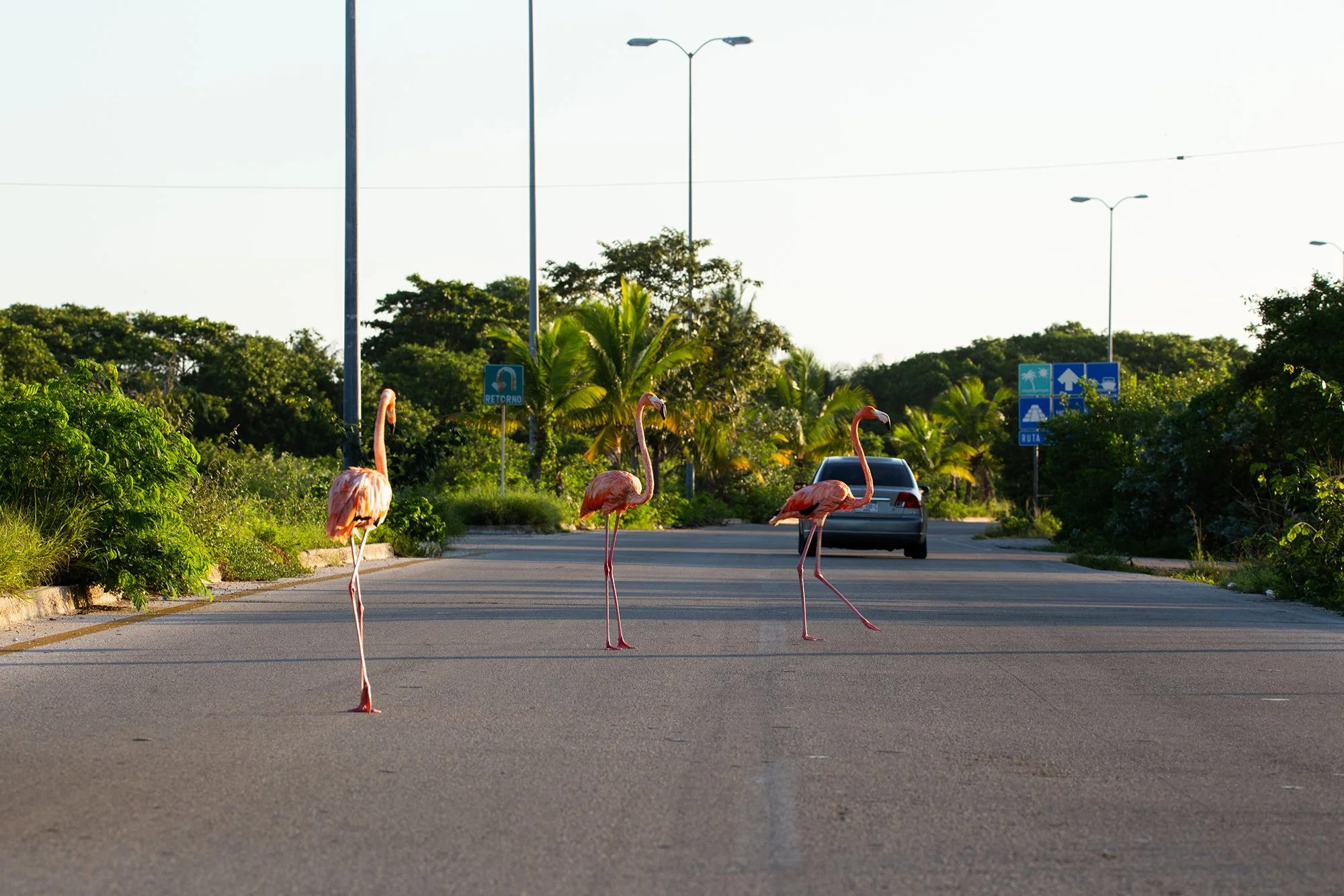 2010_Carreteras_022.jpg