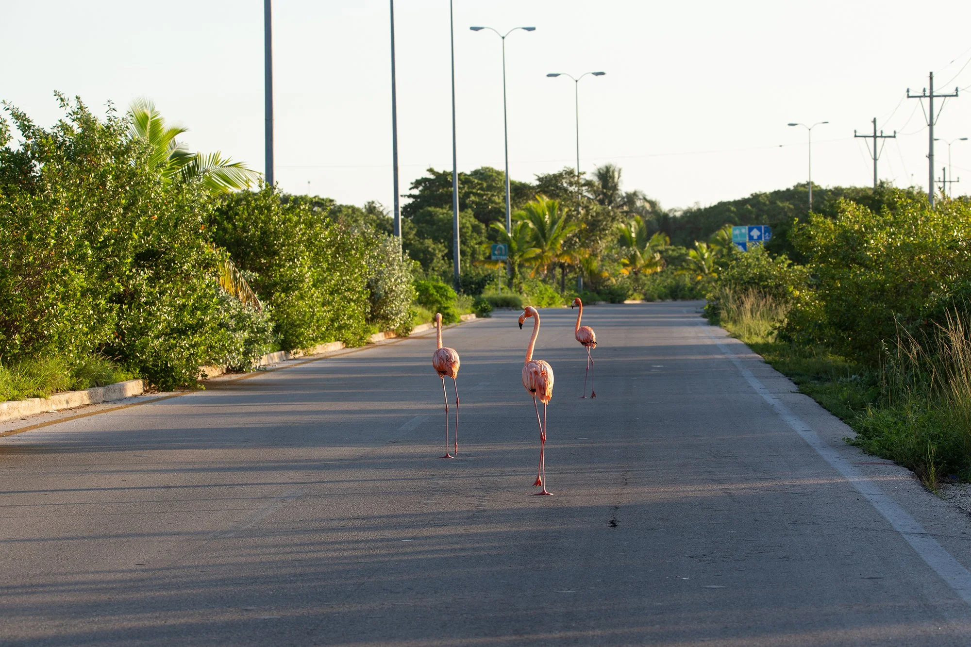 2010_Carreteras_012.jpg