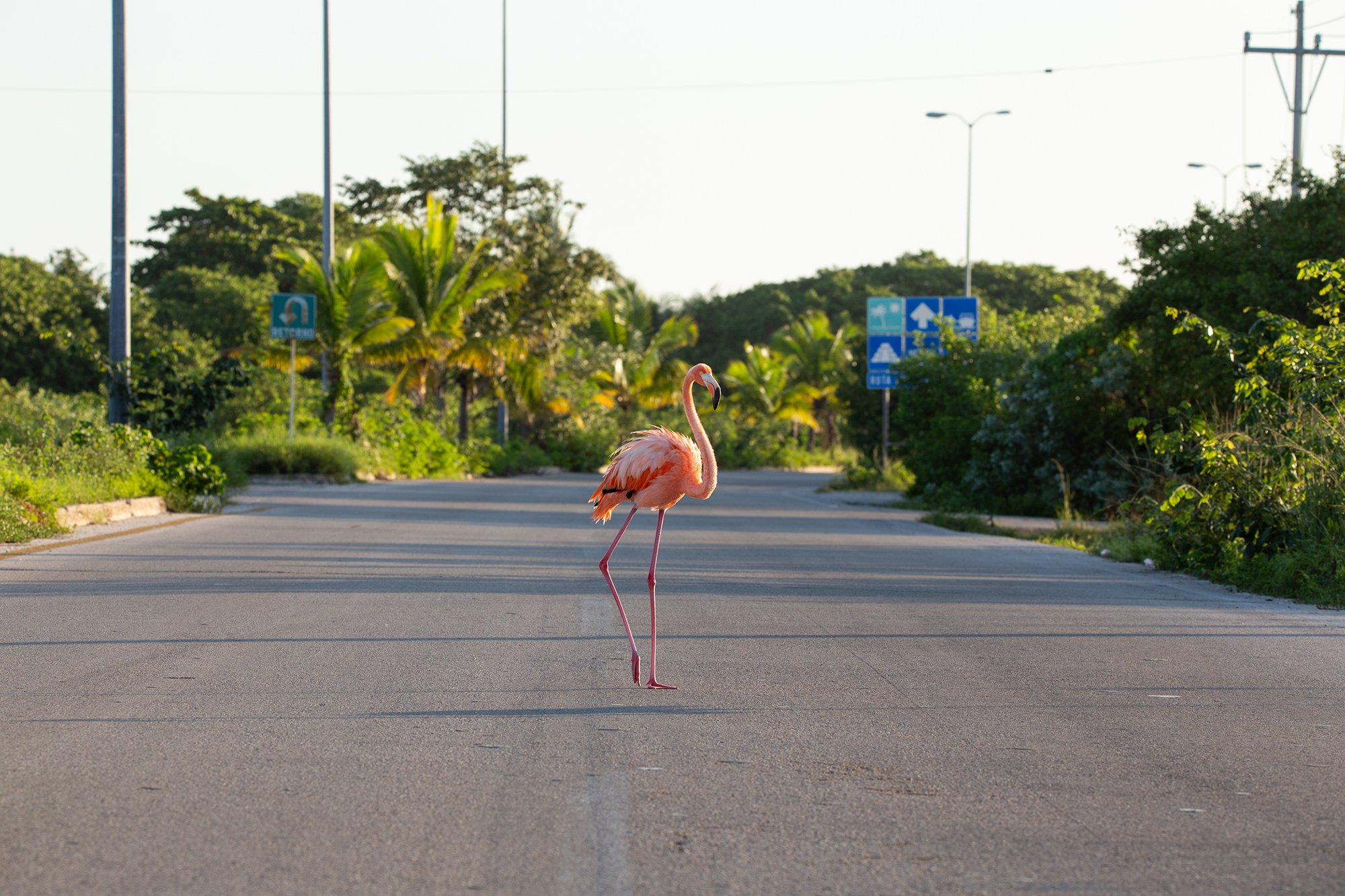 2010_Carreteras_035.jpg