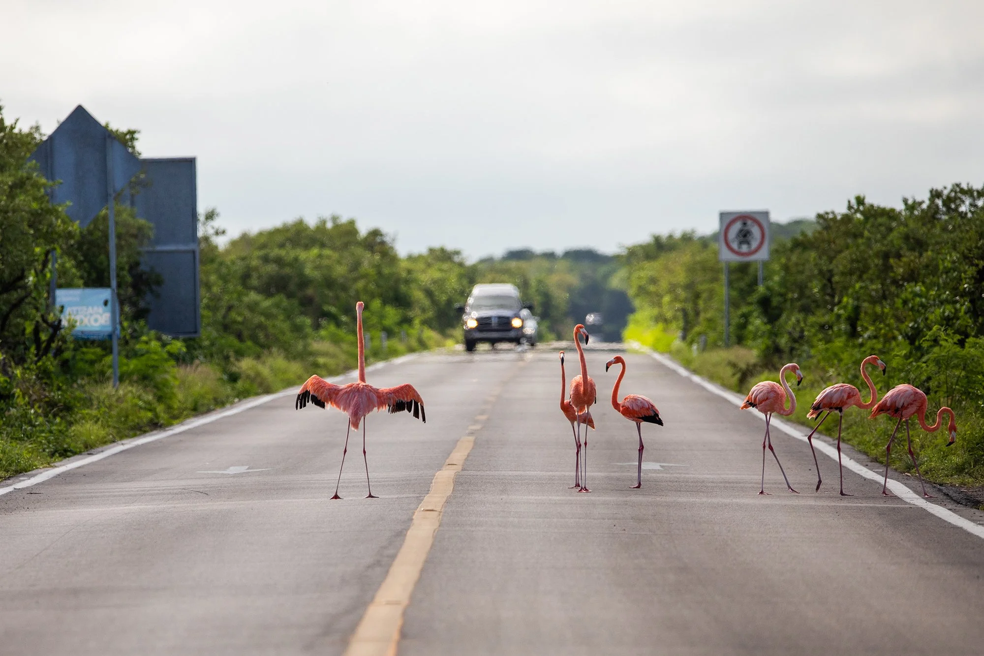 2010_Carreteras_249.jpg