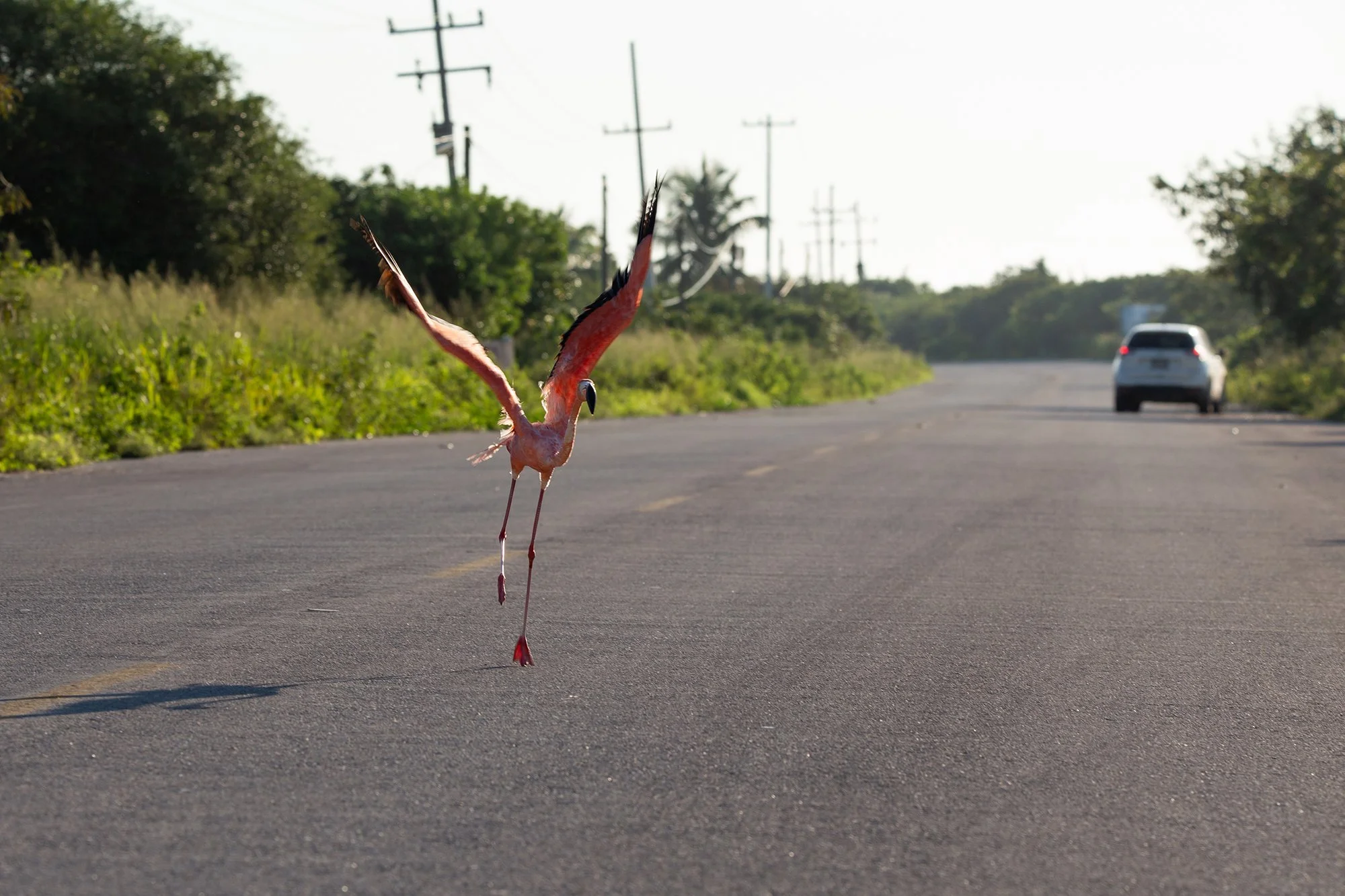 2010_Carreteras_053.jpg
