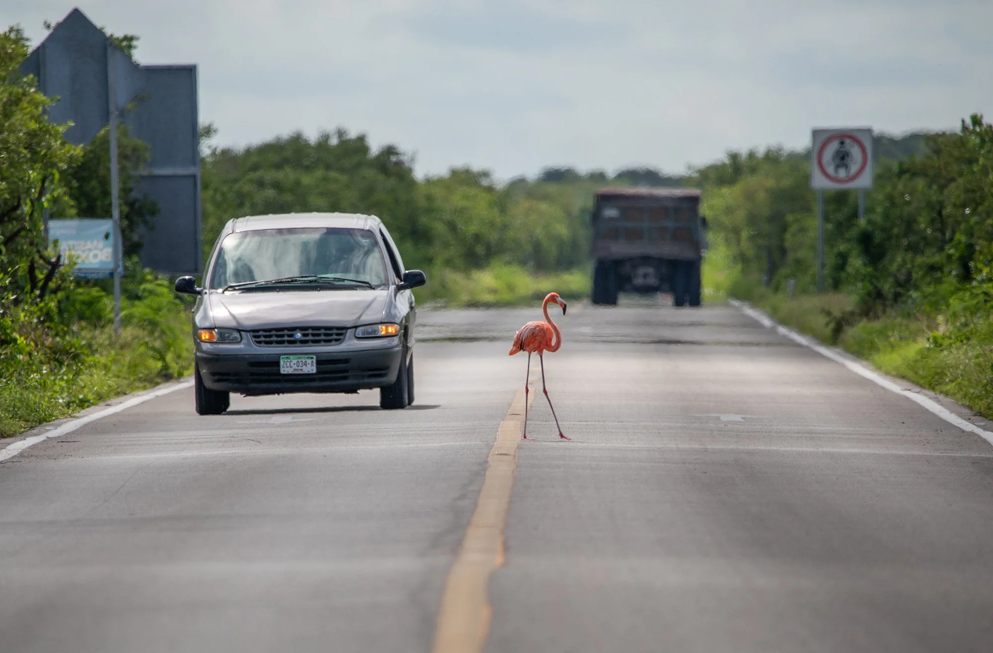 2010_Carreteras_358.jpg