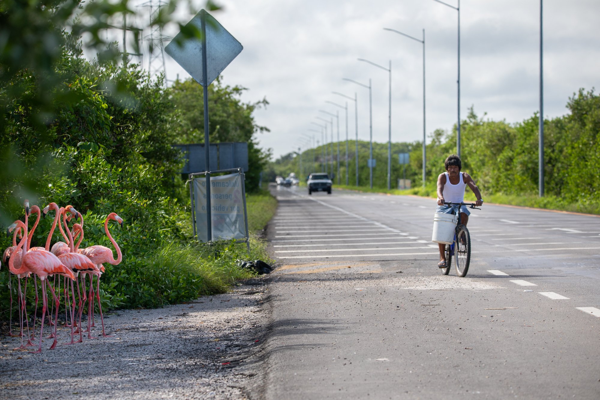 2010_Carreteras_325.jpg