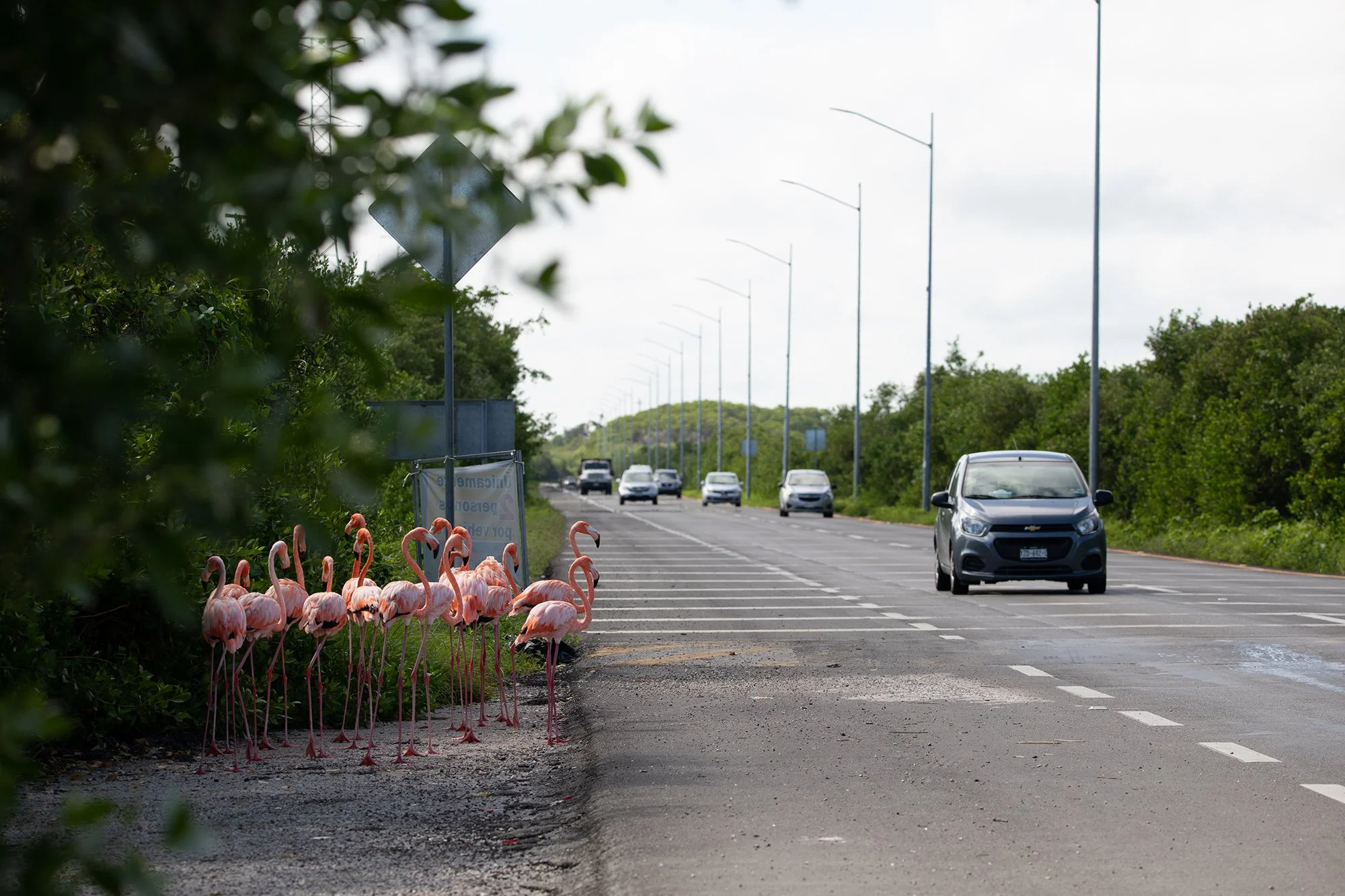2010_Carreteras_336.jpg