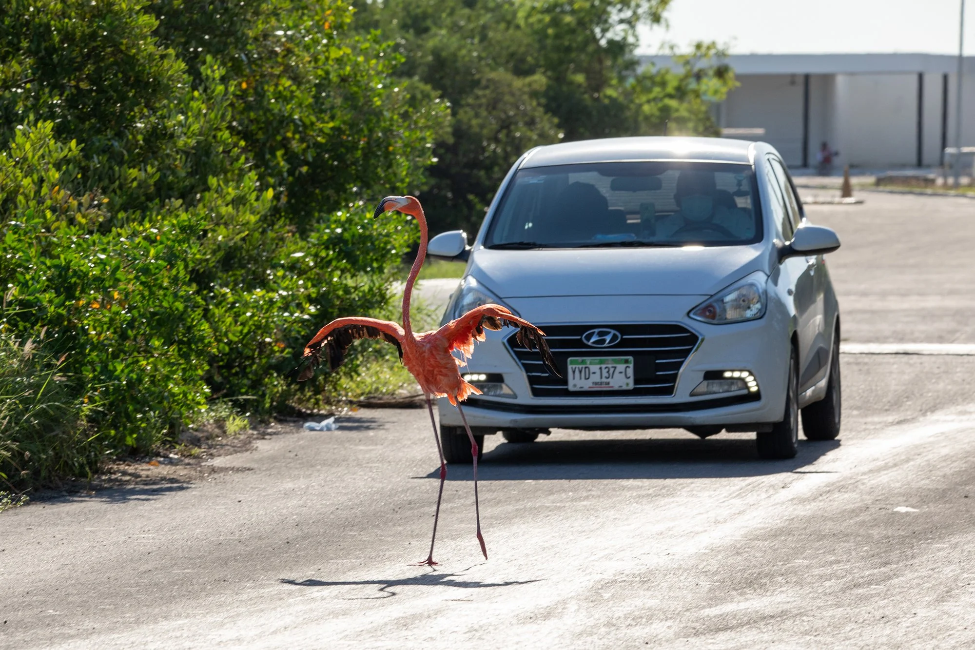 2010_Carreteras_423.jpg