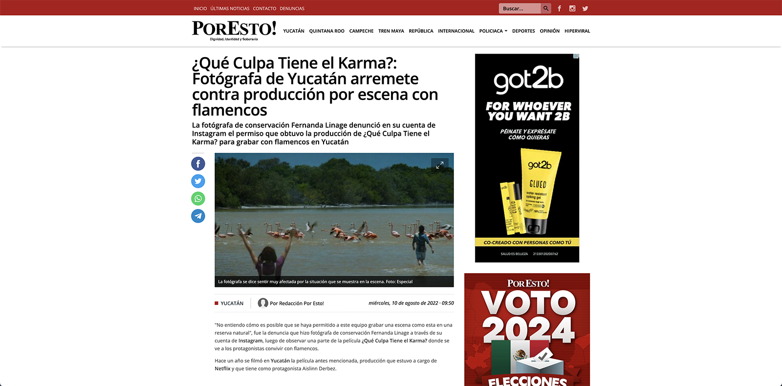 NETFLIX ¿Qué Culpa Tiene el Karma?:Fotógrafa de Yucatán arremete contra producción por escena con flamencos
