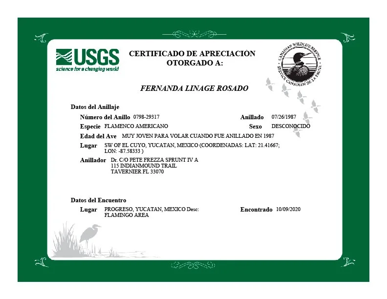 Certificado FernandaLinage.jpg