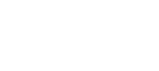 Flamingo Conservation