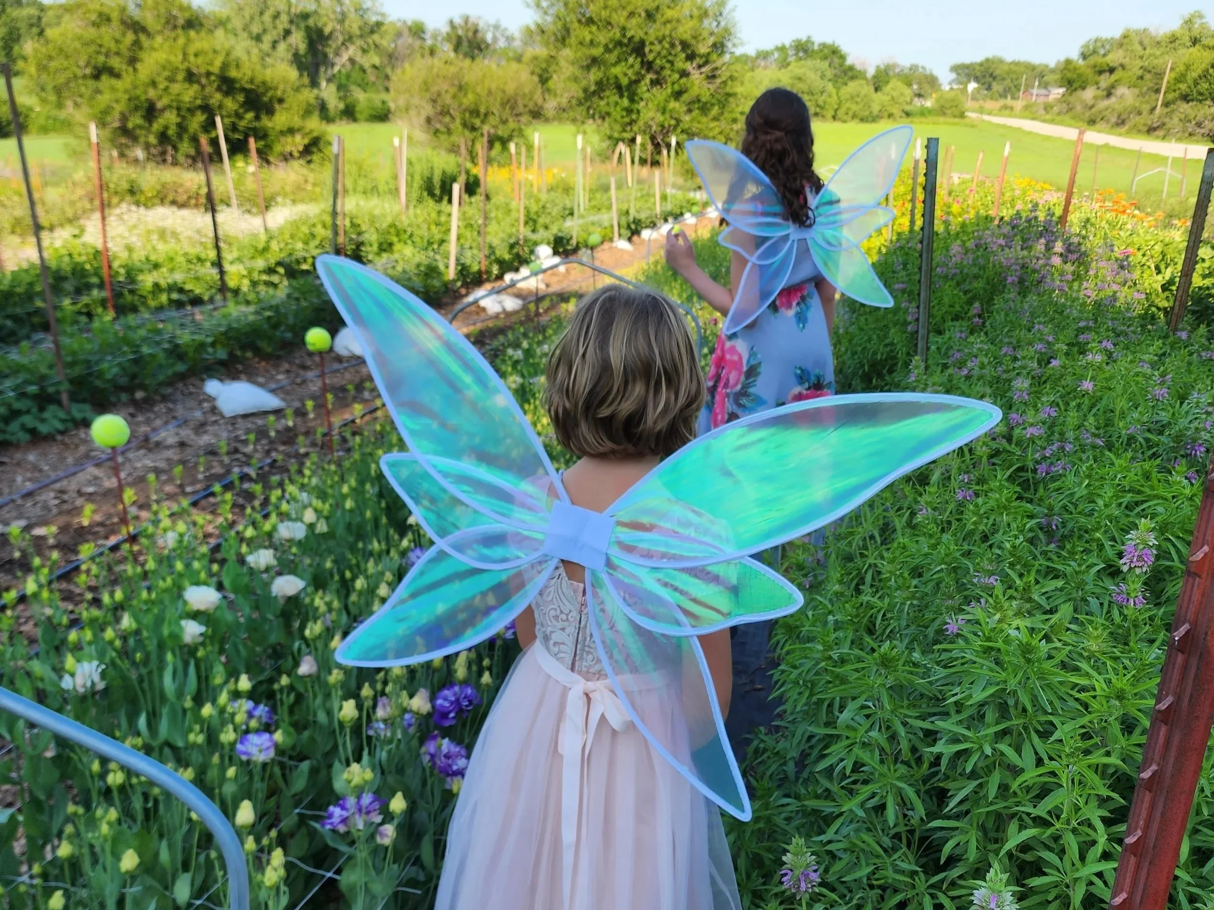 Fairies on the Flower Farm 9/20/25 @ 11am