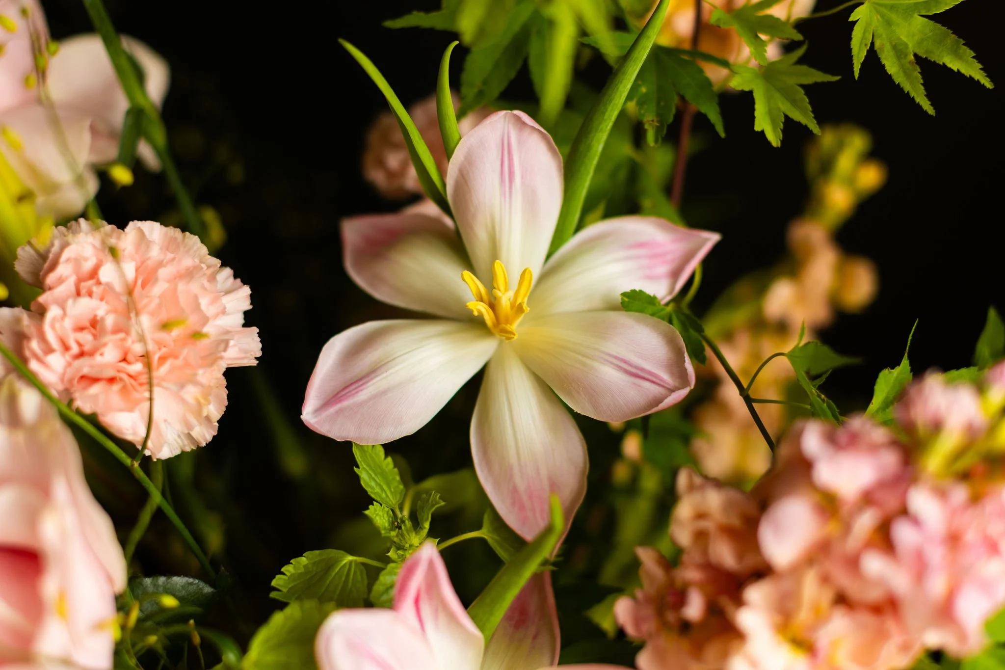 Flower Arrangement Class 10/22/2025 @ 5:30pm