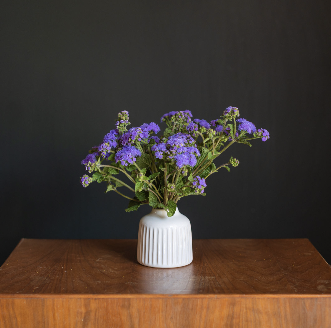 Screenshot 2026-04-03 at 10.54.54 AM.png