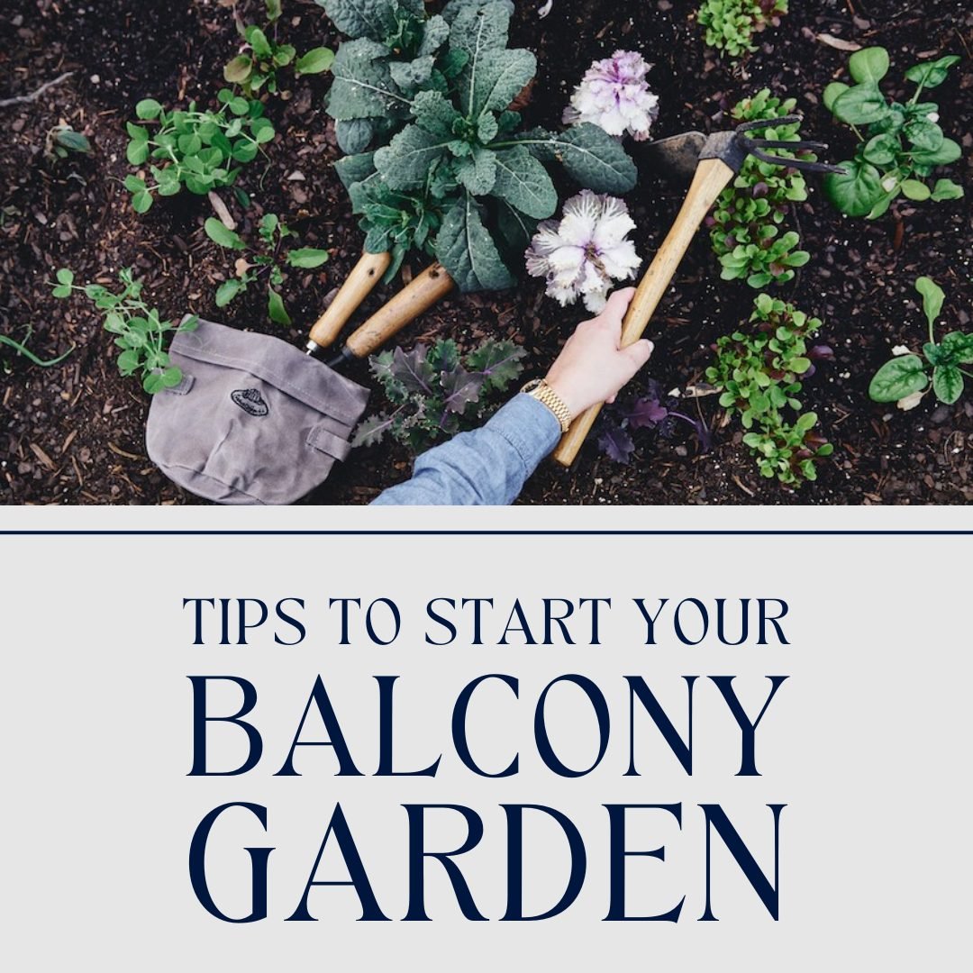 If you're planning to grow some plants on your balcony this spring and summer, here are some great tips to get you started. We can't wait to see your green spaces grow! 🪴

#thethomas #614living #columbusliving #luxuryliving #gardening