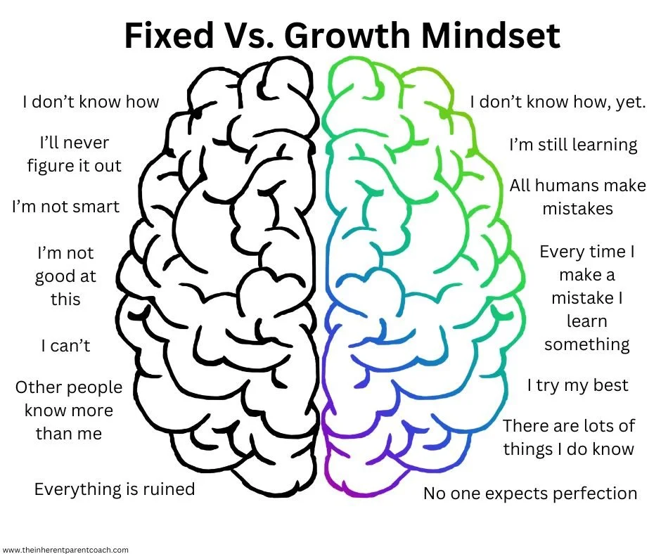 Fixed vs. Growth Mindset
