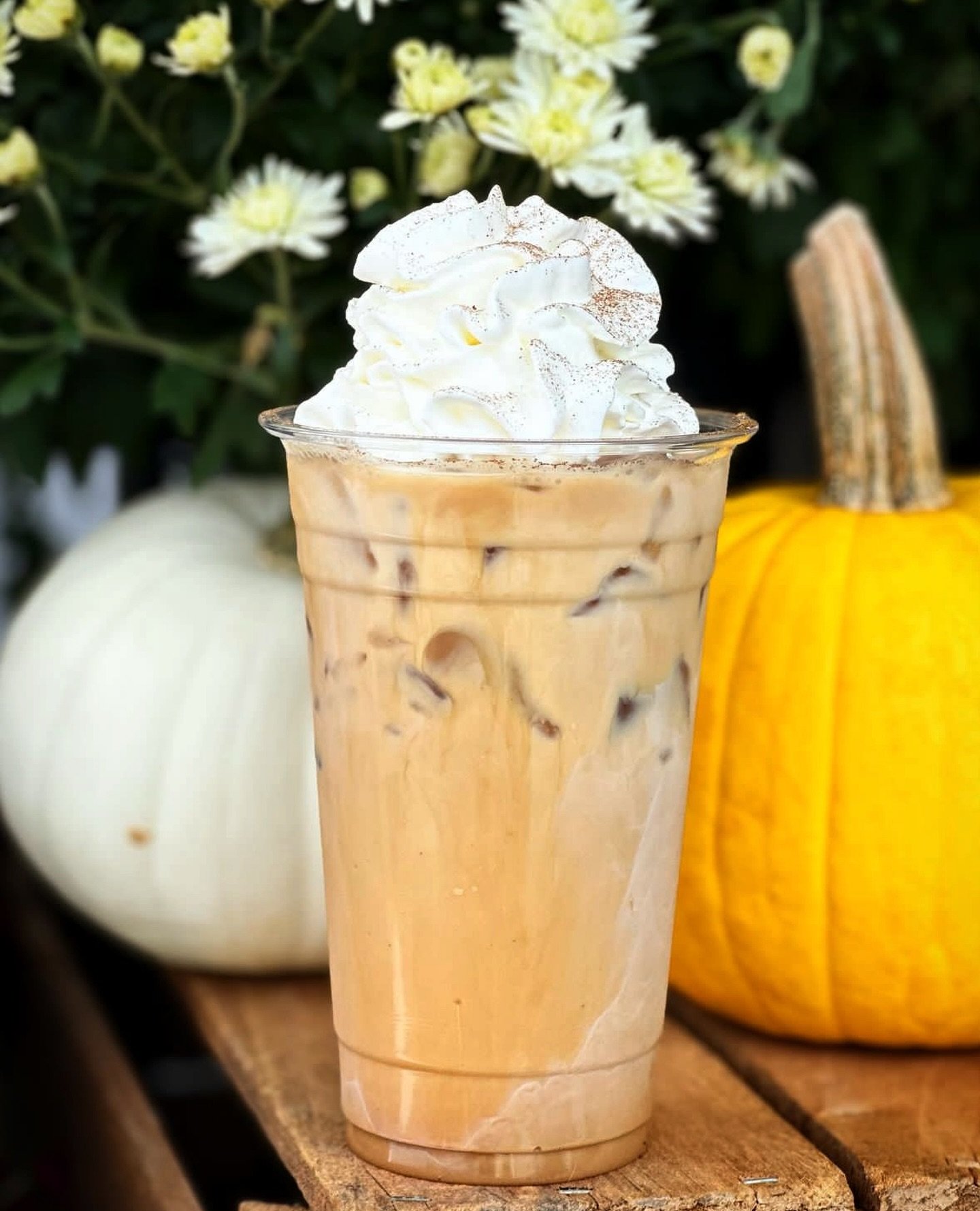 Surprise!!! We are bringing autumn to summer for a few weeks. Enjoy a shaken iced pumpkin spice, a classic #PSL or even a white chocolate pumpkin latte while supplies last!

#fallisintheair #pumpkinspice #joeonthegocoffeeco #special #servingyourcommu