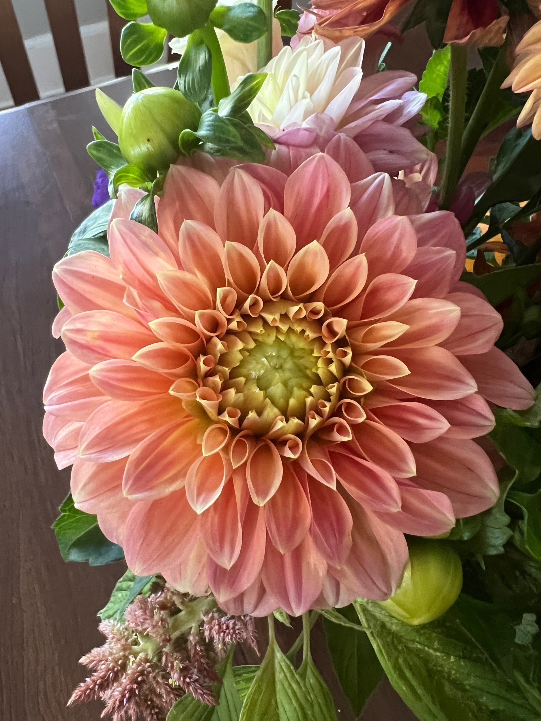 7494B005-ADE3-4700-8034-E4D1161FE961.jpeg