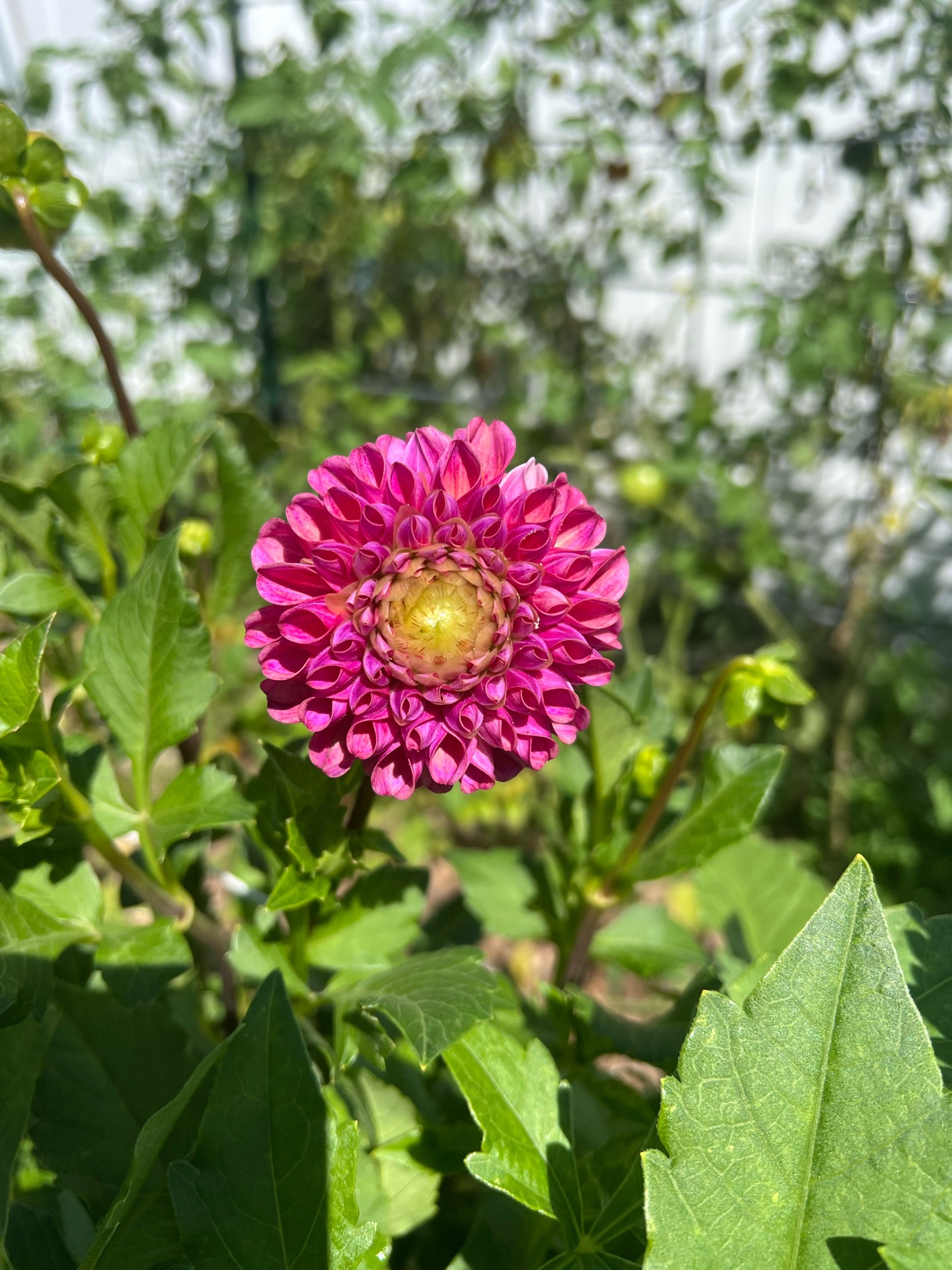 B46AEE06-26B7-408C-8000-AC2182A106F9.jpeg