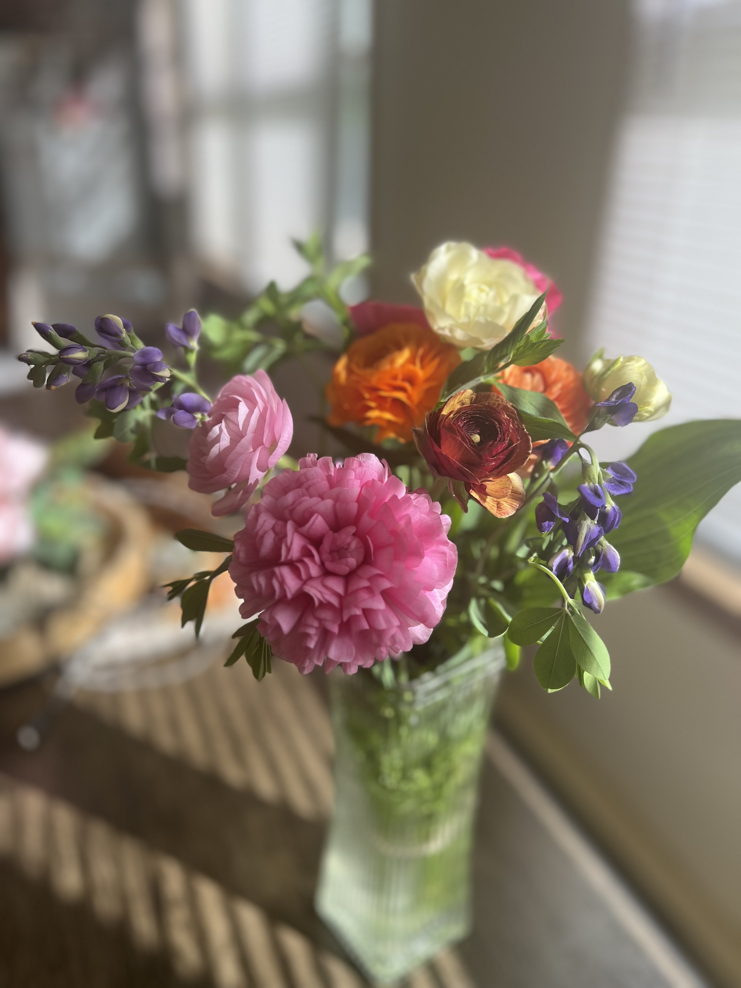 IMG_3843.jpeg