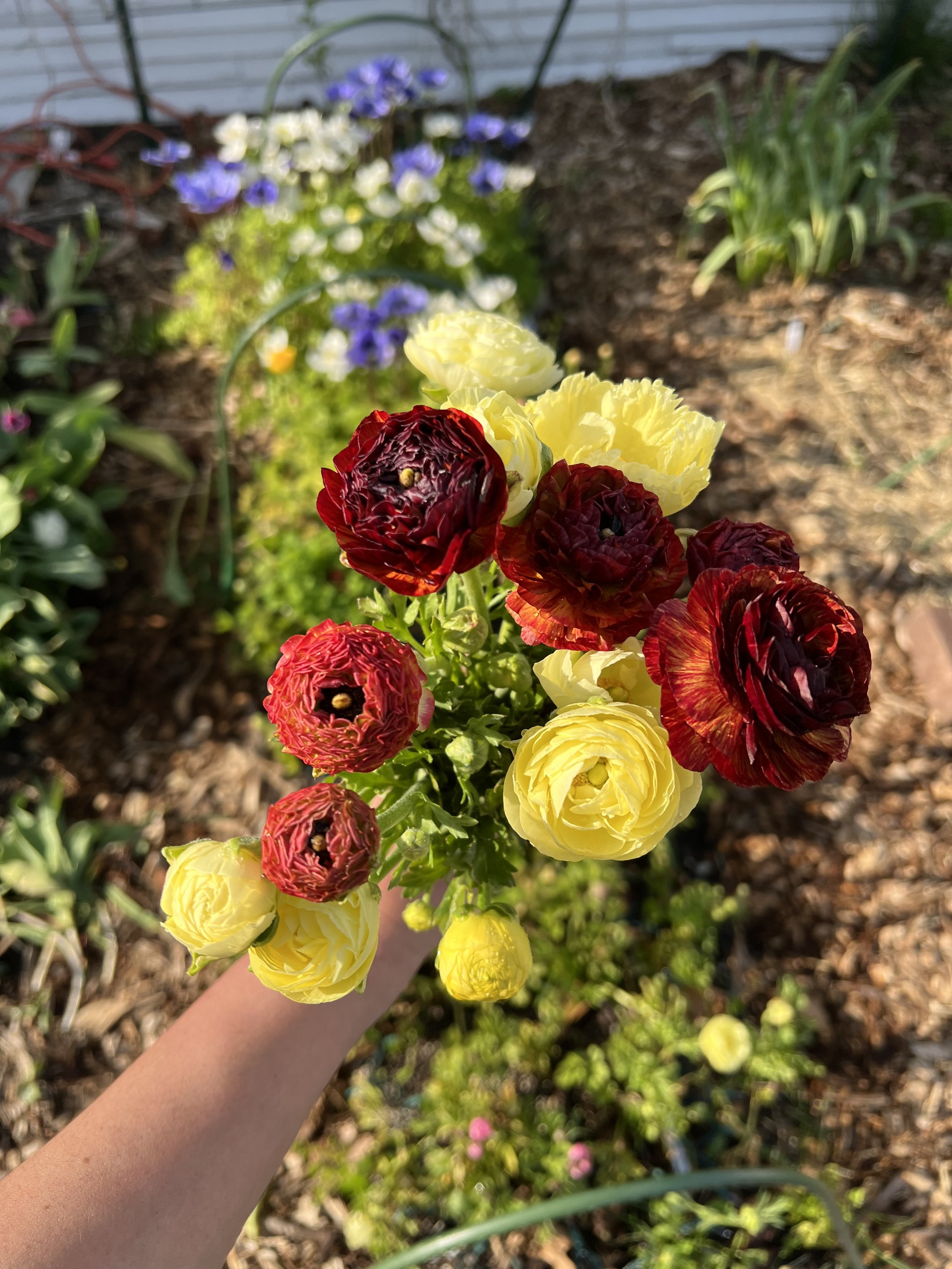 IMG_3057.jpeg