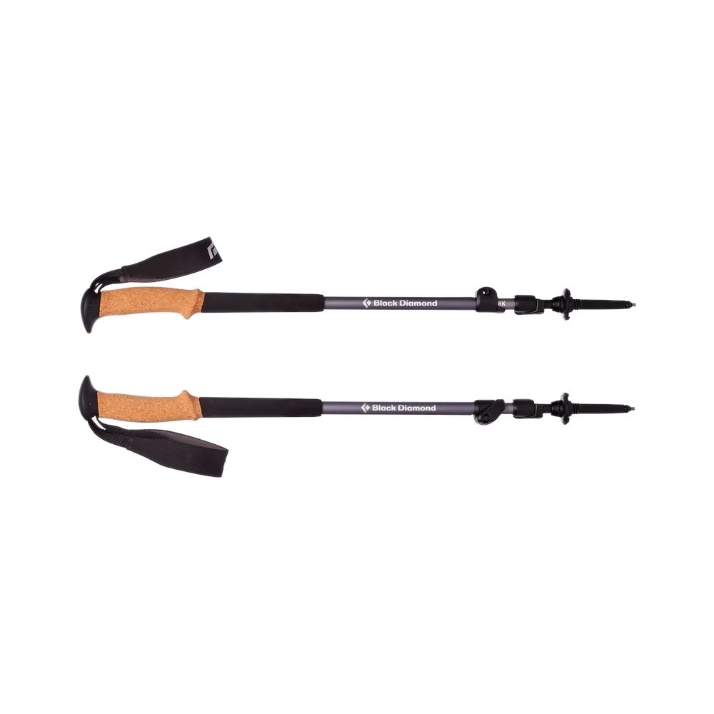 pol_pl_Kije-trekkingowe-TRAIL-CORK-TREKKING-POLES-39621_1.jpg