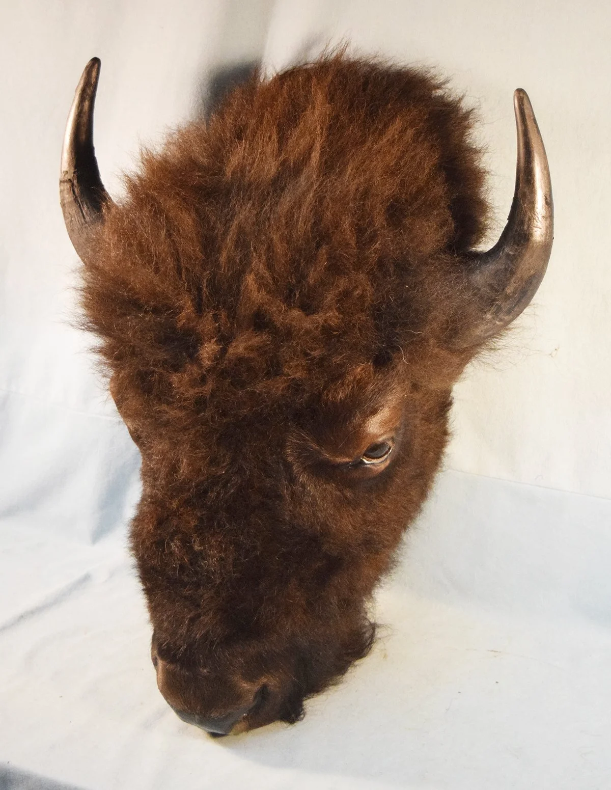 Saloon style buffalo head mount, 19" spread
