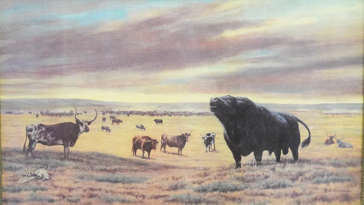 Murphy, F. C., print, The Angus Breed is Launched In The United States of America,  15" X 26", framed
