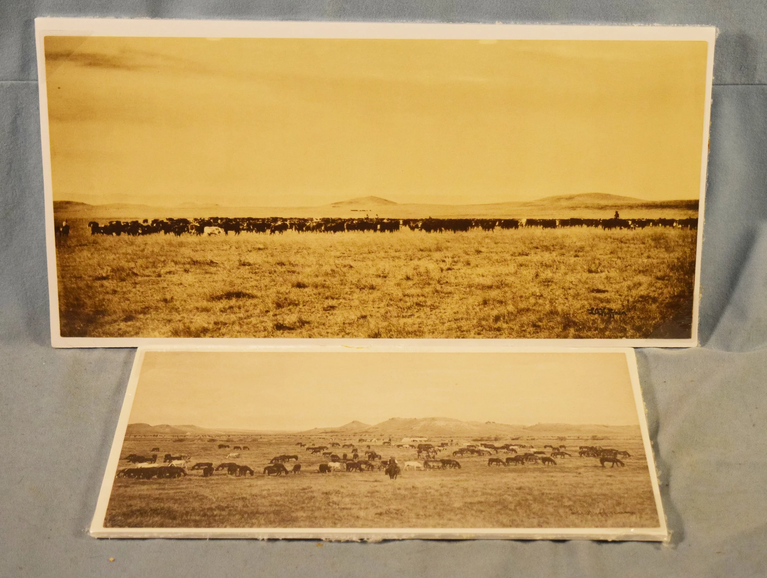 (2) L.A. Huffman prints: Cattle on the Prairie, 8.75" x 18.25" & Horses Grazing, 8" x 14"