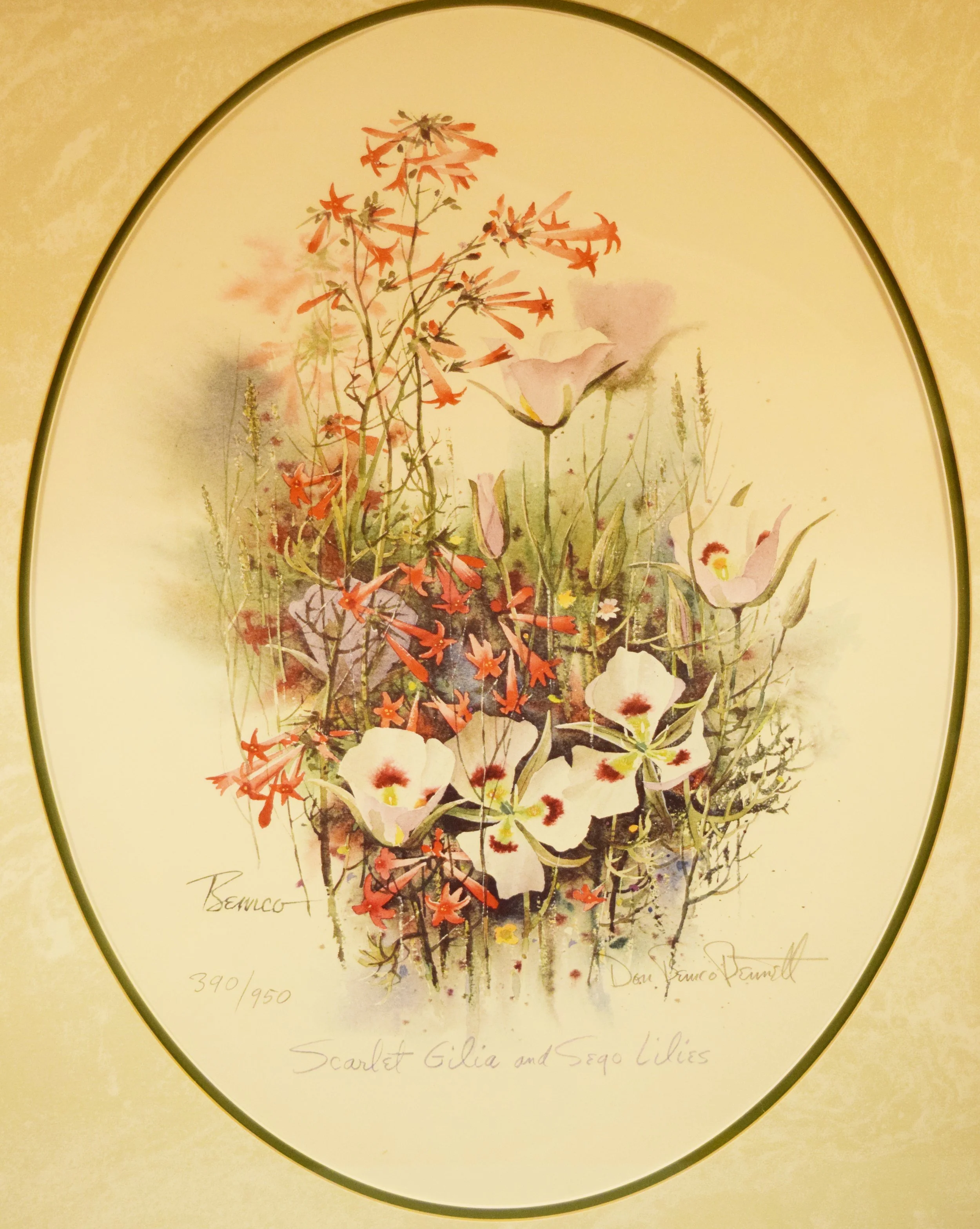 Bennett, Don, print, Scarlet Gilia and Sego Lilies, 18" x 14", framed, signed lower right, #390/950