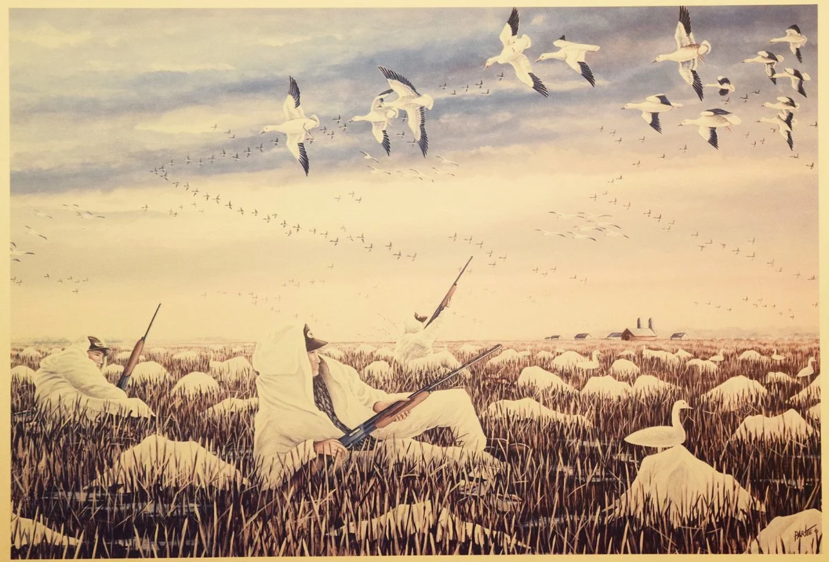 Partee, James E.,print, El Campo Rags n Rice - Snow Geese, 10.5" x 13", 1989 Waterfowl U.S.A. & Birchwood Wildlife Studio