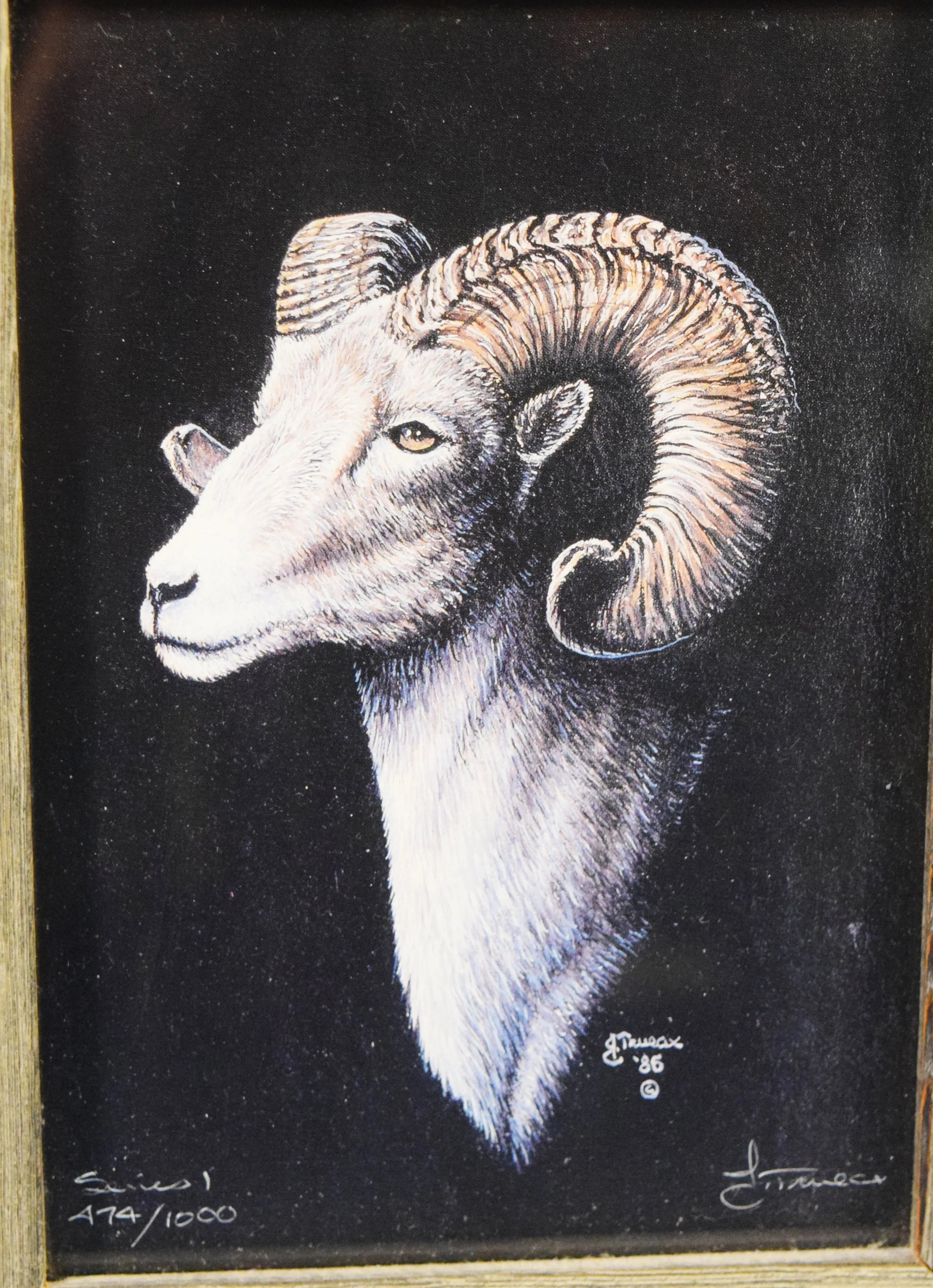 Truax, Jim, print, Big Horn Sheep, 17" x 25", framed, signed & numbered lower right, Series 1 #474/1000, 1986