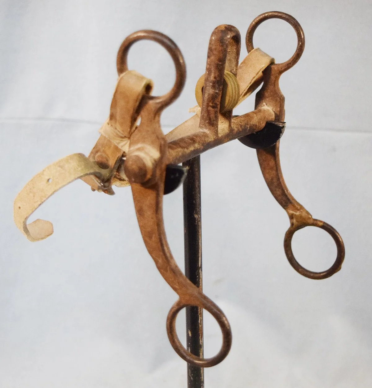 Buermann etched iron bit w/brass roller
