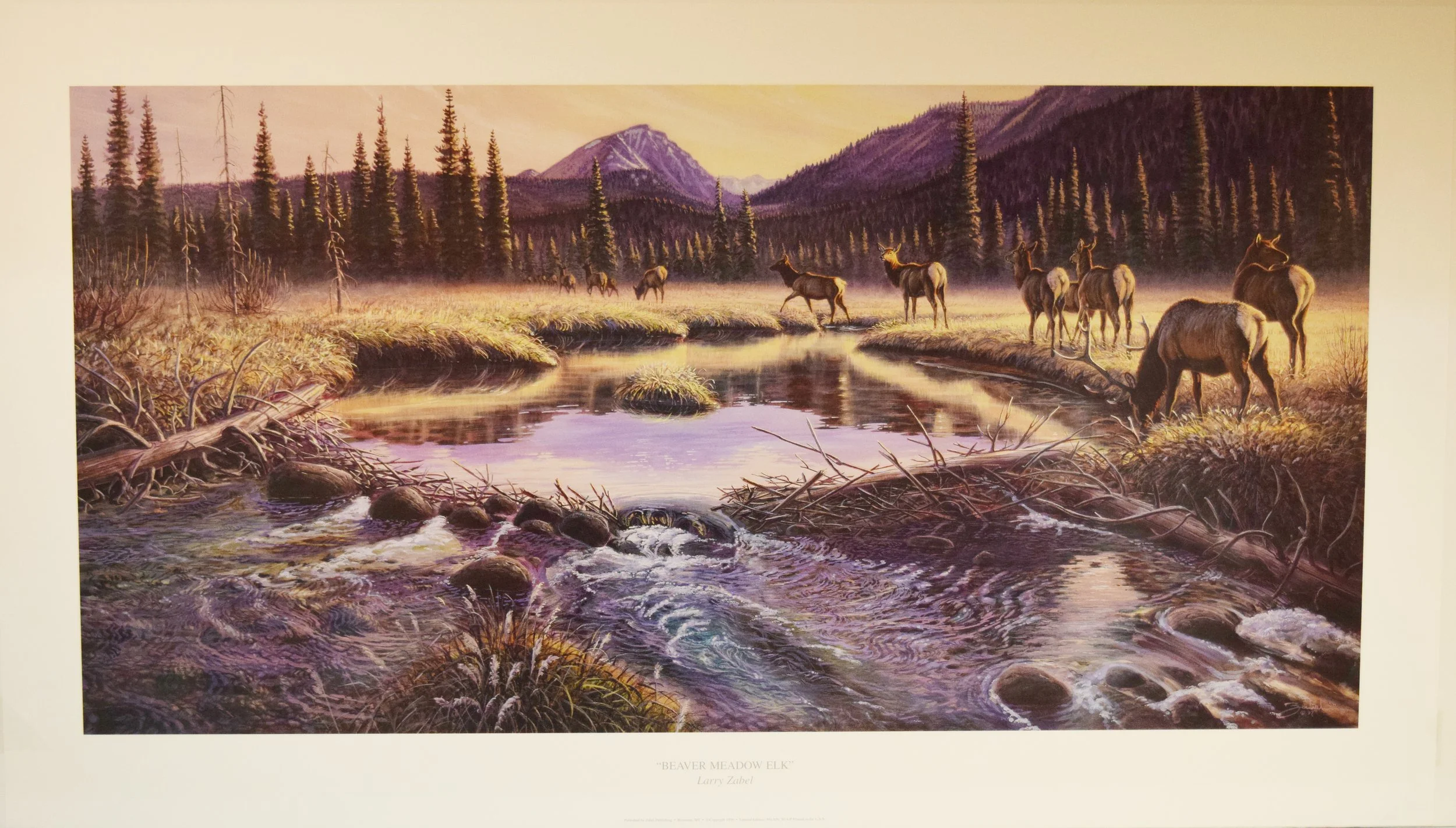 Zabel, Larry, lithograph, Beaver Meadow Elk, 18" x 32"
