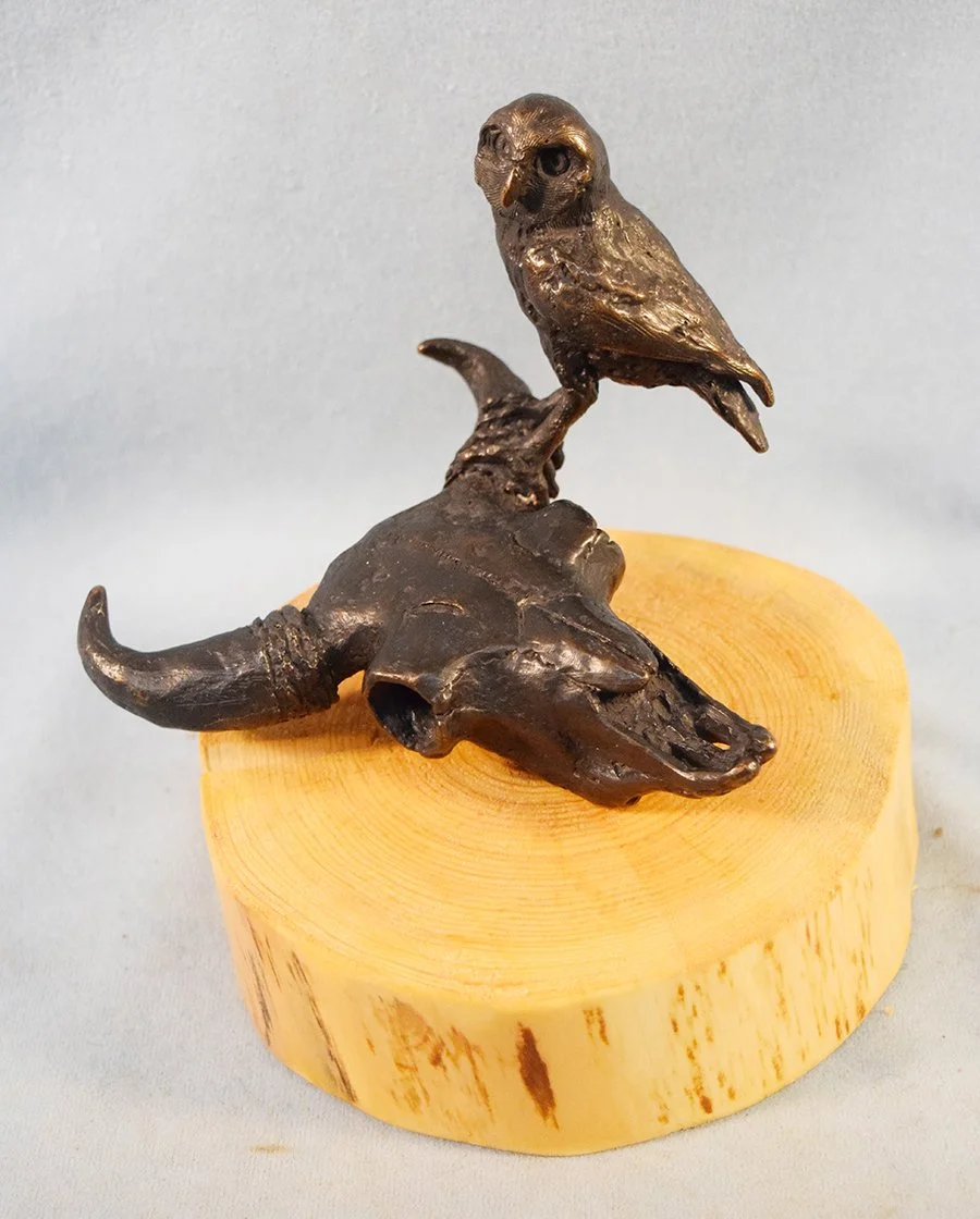 Fellows, Fred (MT and AZ), bronze, Skull with Owl, 6.5" x 7" x 7", wood base, #92/100