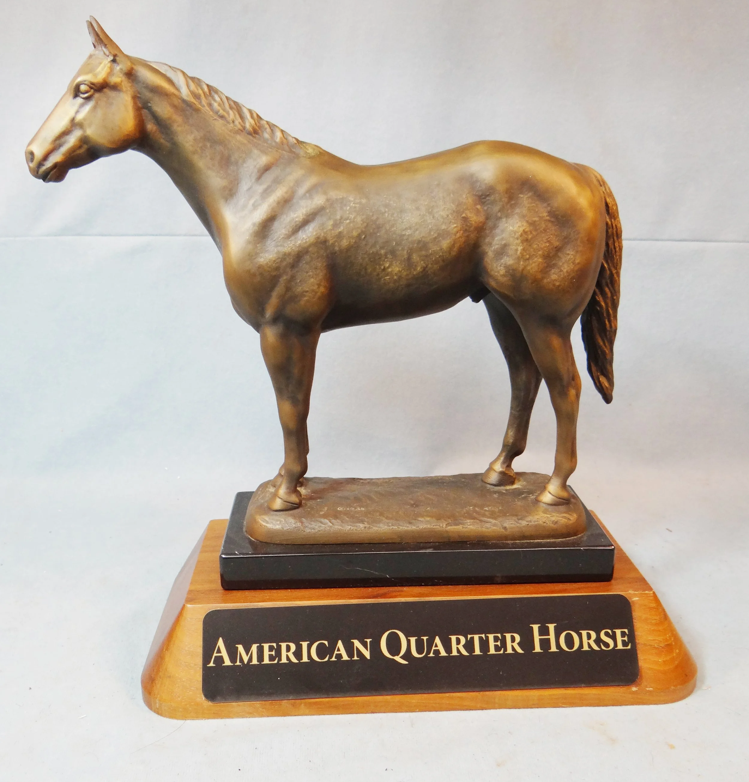 Fiedler, Suzann, bronze, American Quarter Horse, 1984, American Quarter Horse Association, 12" t x 12" w x 6" d, wood base