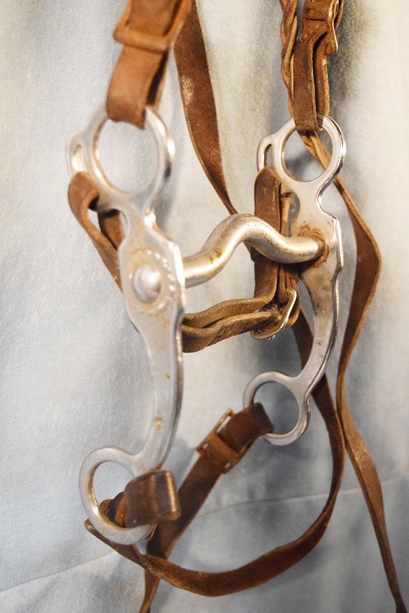 Kelly rodeo style silver mounted bit in headstall
