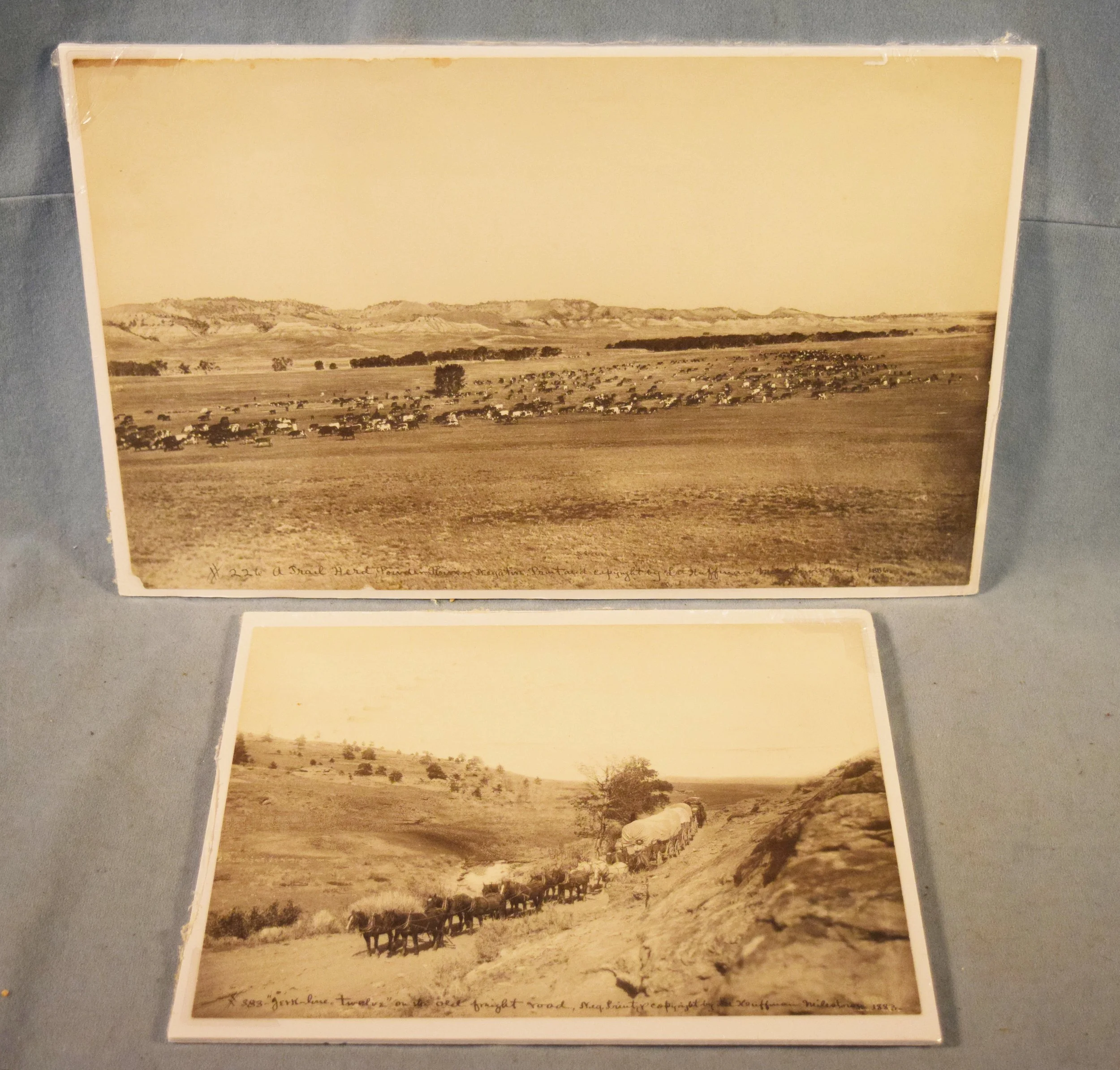 (2) L.A. Huffman prints: #383 Jerkline Twelve on the old freight road, 1883, 9" x 11" & #226 A Trail Herd, Powder River, 1886, 10" x 15.5"