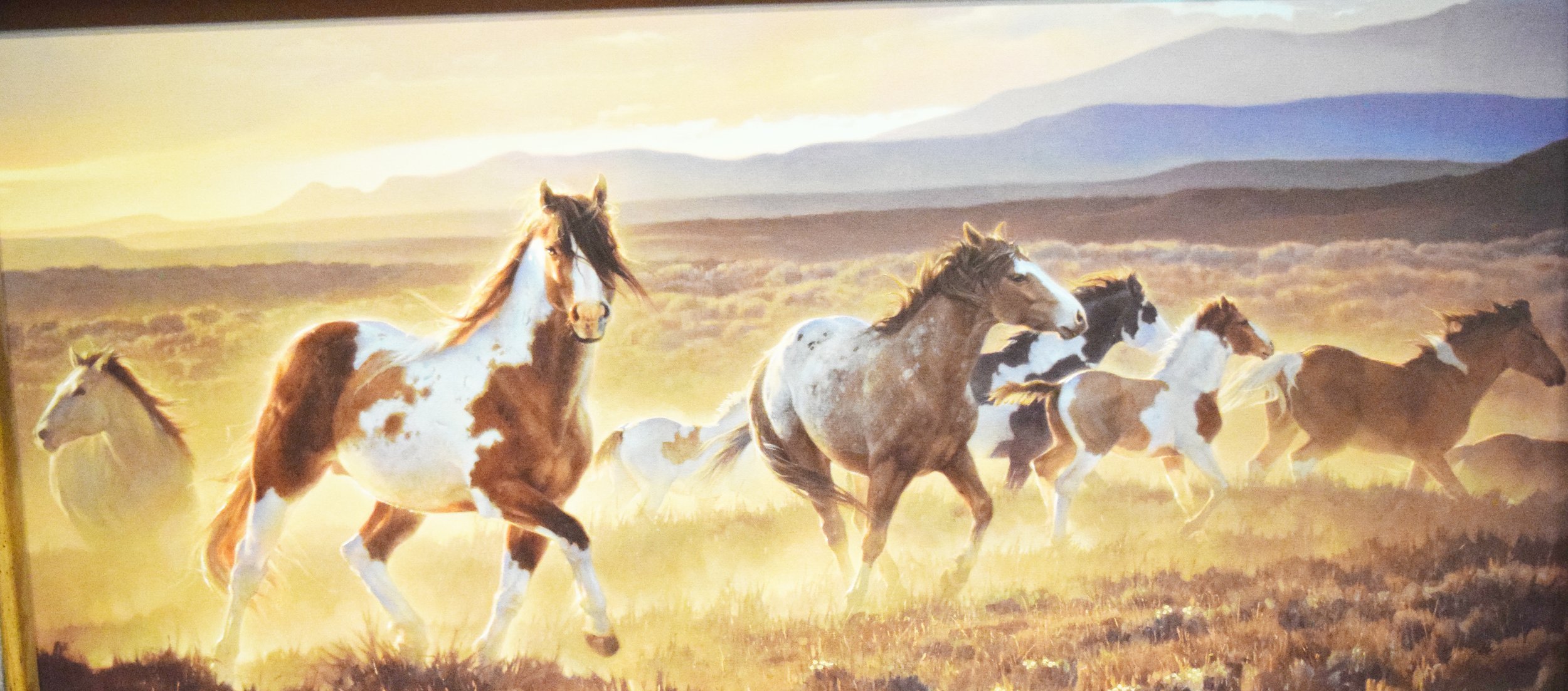 Glazier, Nancy, canvas print, Domino, 20" X 40" framed
