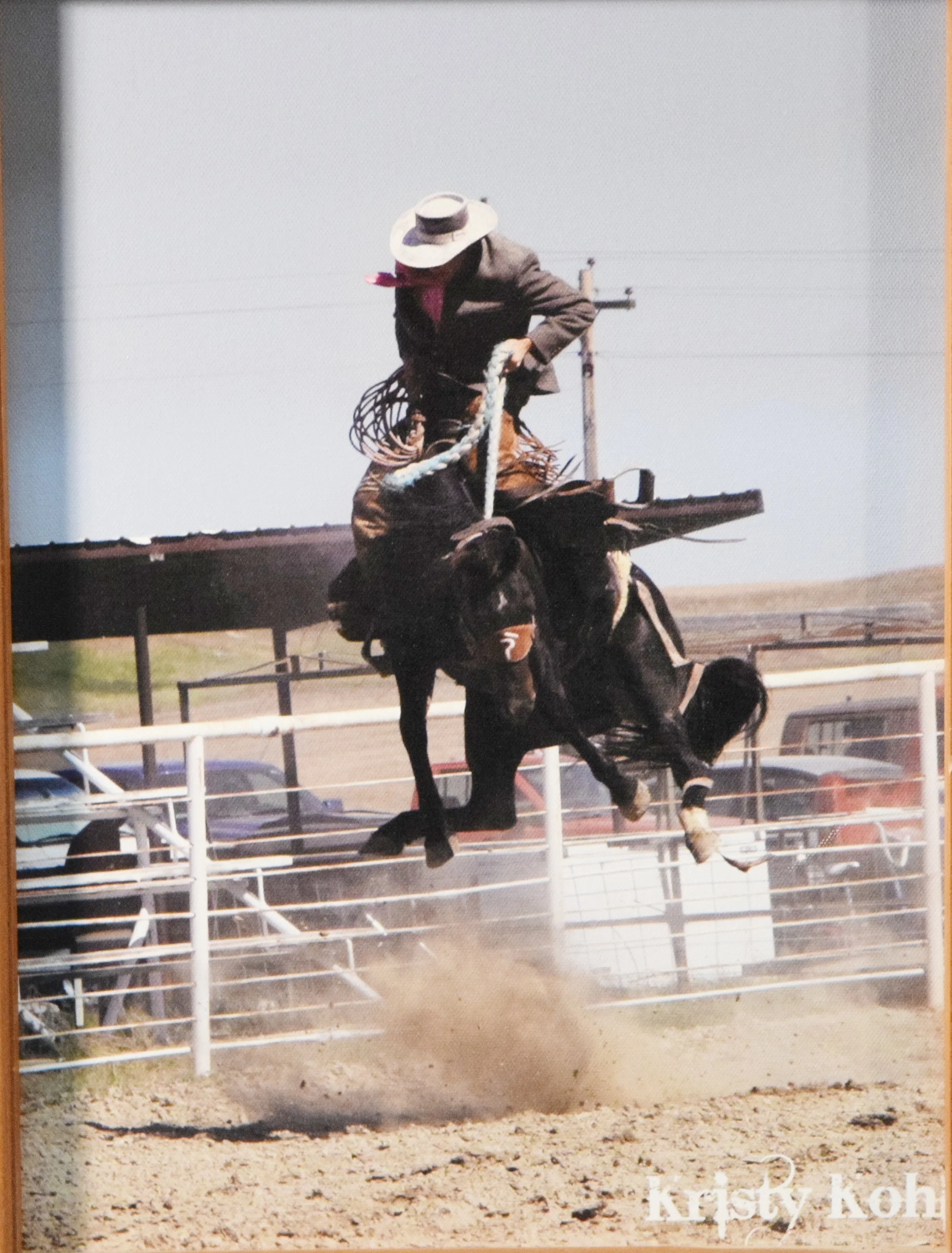 Koh, Kristy, giclee on canvas, Rodeo Bronc, 16" x 12" framed