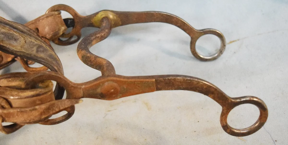 Kelly silver mounted curb bit in a headstall
