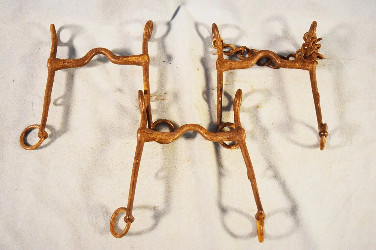 U. S. Cavalry bits, all marked