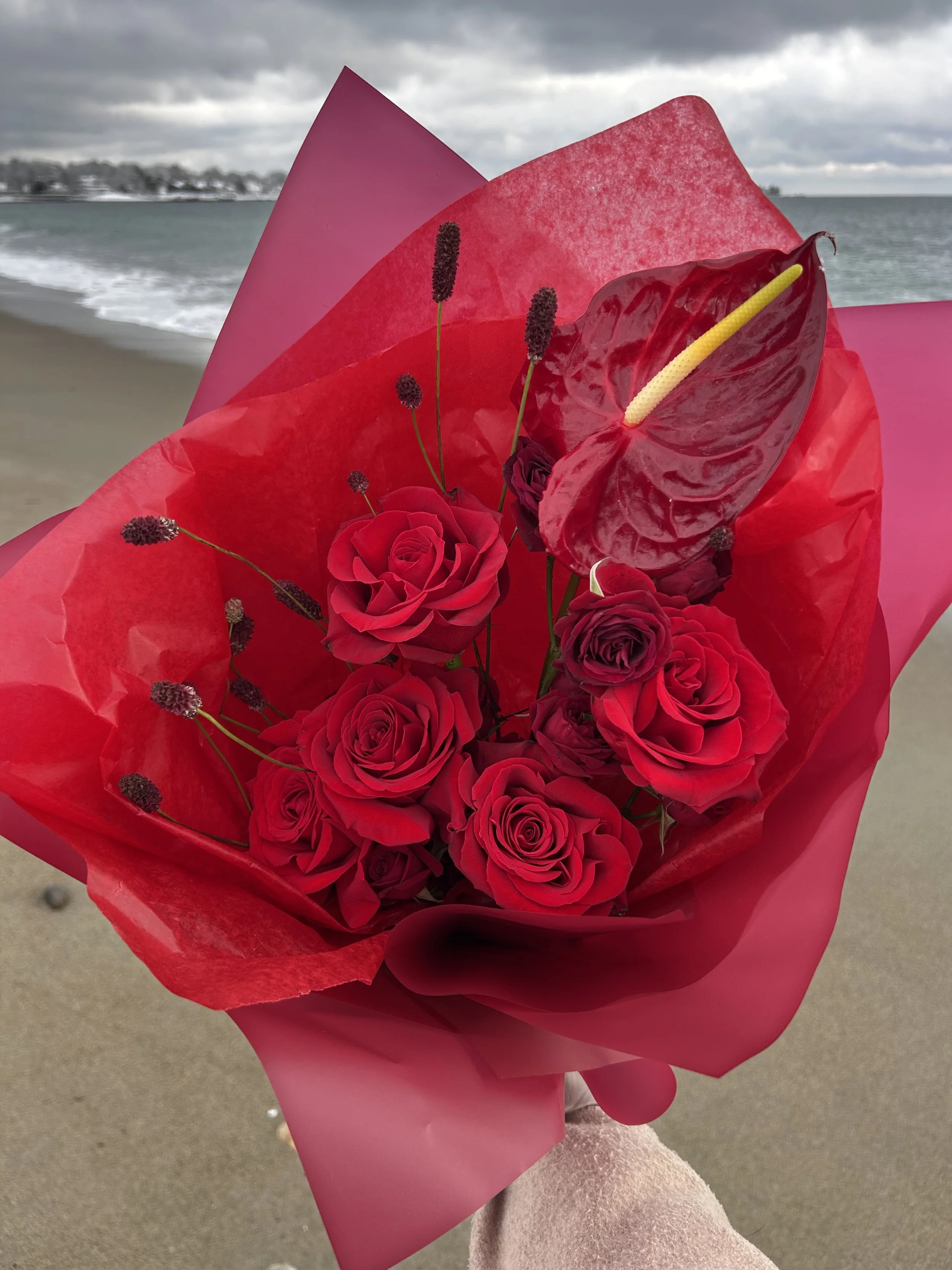 Little Red - half dozen red roses