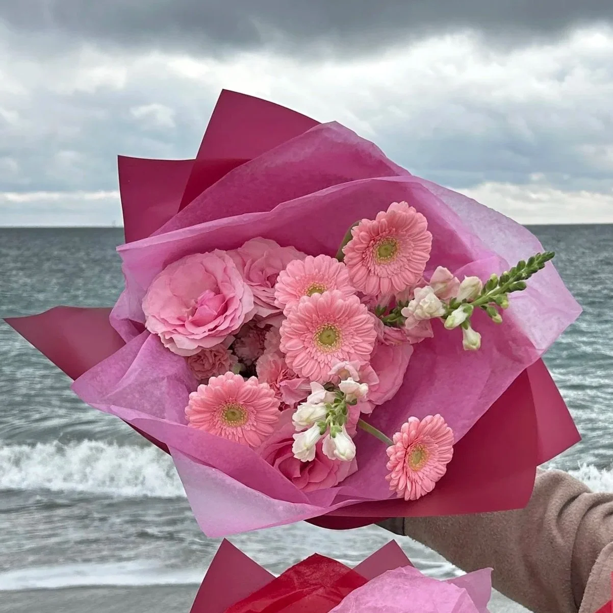 Little Pink - half dozen pink roses