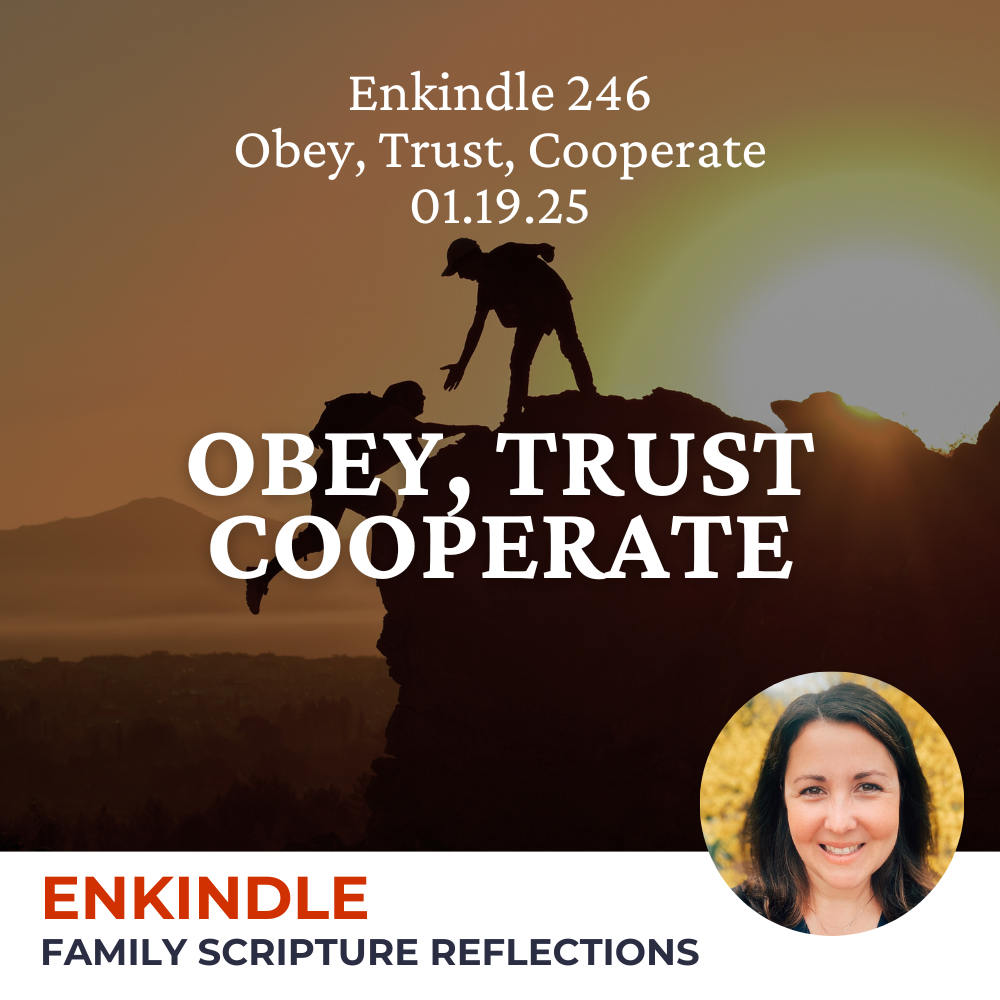 Enkindle 246 - 01.19.25 - Obey, Trust, Cooperate episode artwork