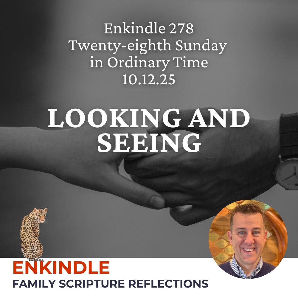 Enkindle 282 - 10.12.25 - Looking and Seeing episode artwork